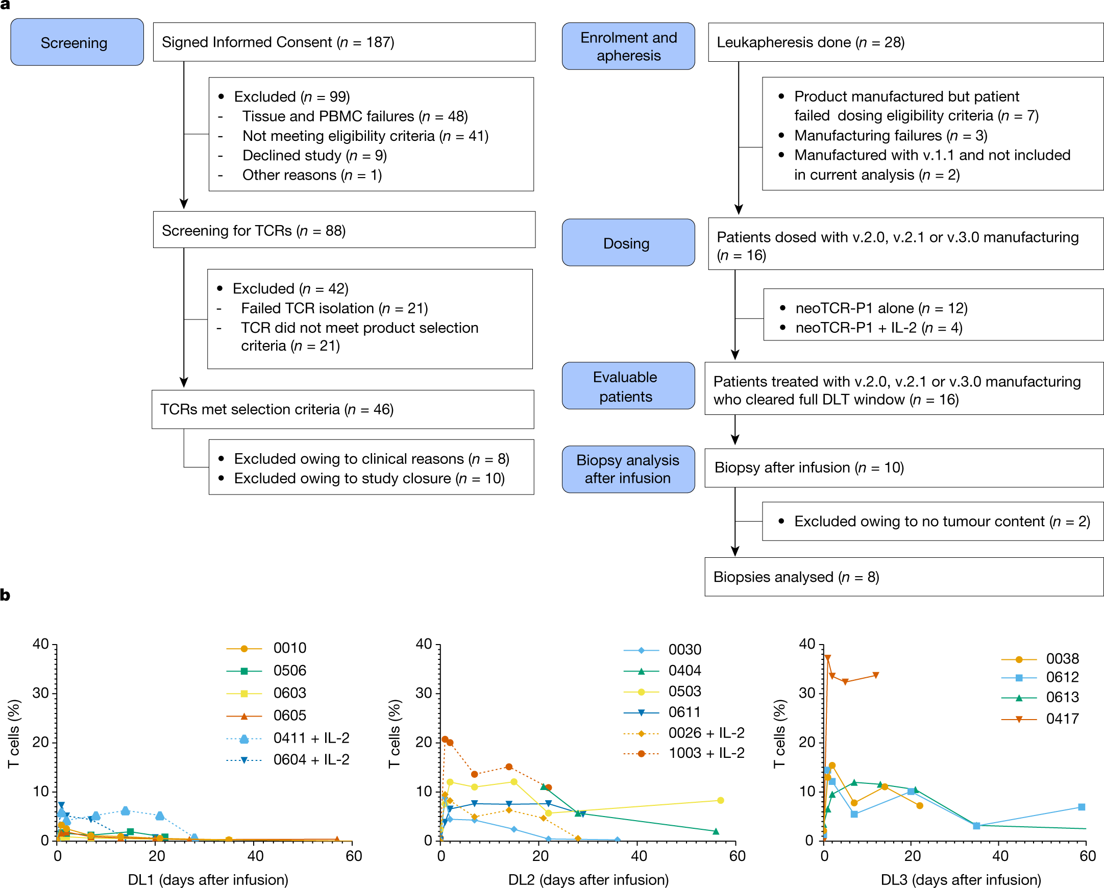 Fig. 3: Clinical trial patients and samples, and analysis of neoTCR transgenic T cells in blood after infusion.