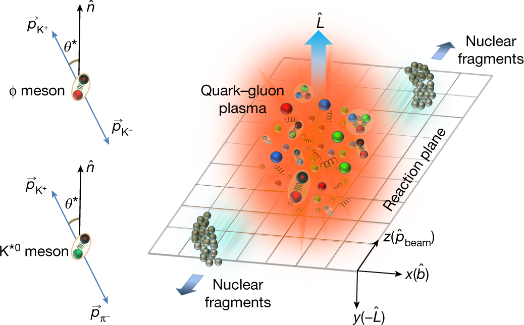 Pattern of global spin alignment of ϕ and K*0 mesons in heavy-ion  collisions | Nature