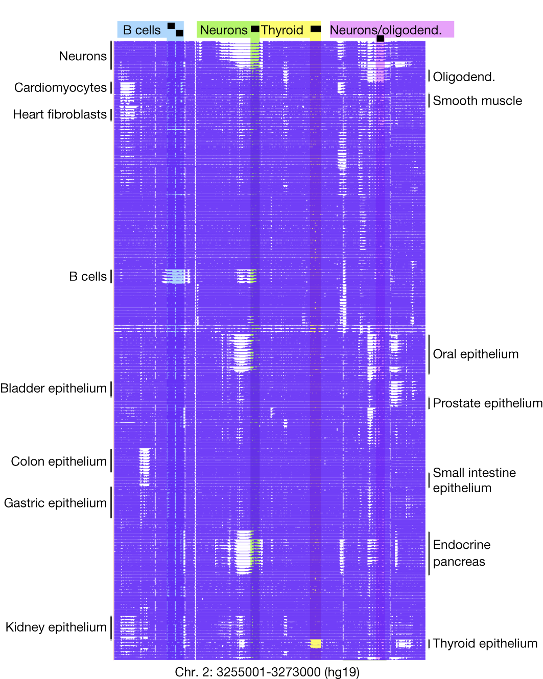 A DNA methylation atlas of normal human cell types | Nature