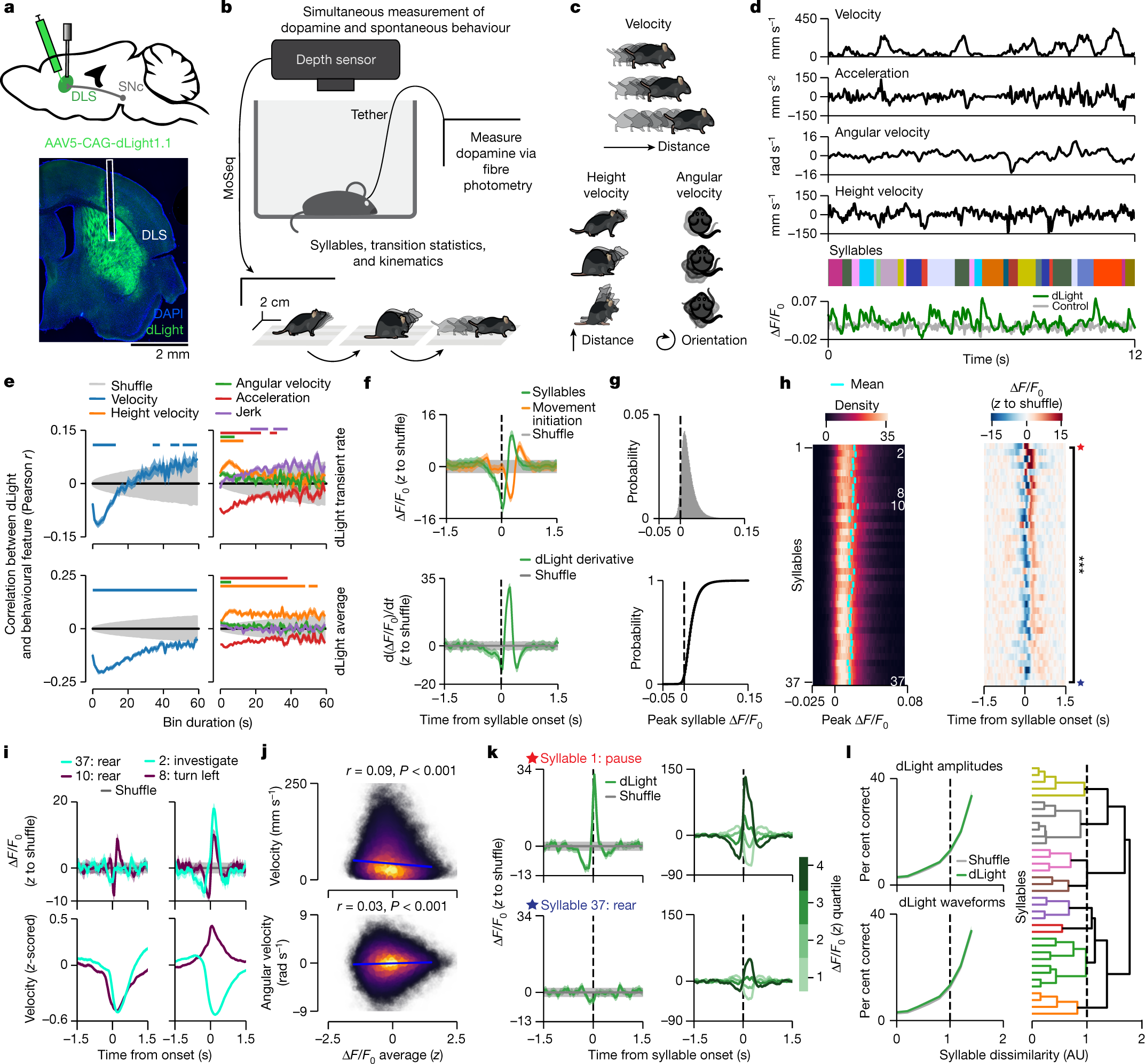 Spontaneous behaviour is structured by reinforcement without explicit reward Nature picture