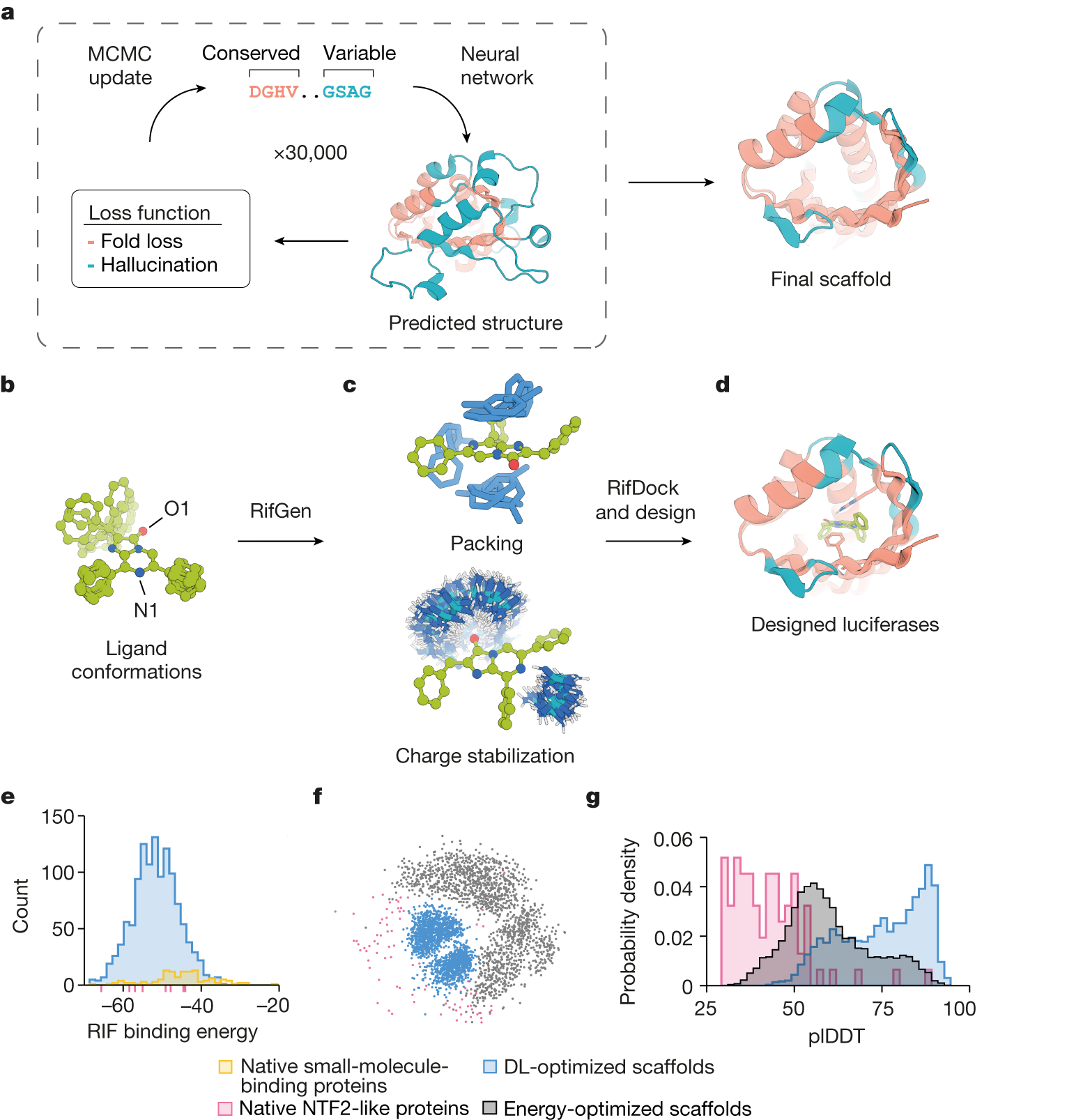 De novo design of luciferases using deep learning | Nature