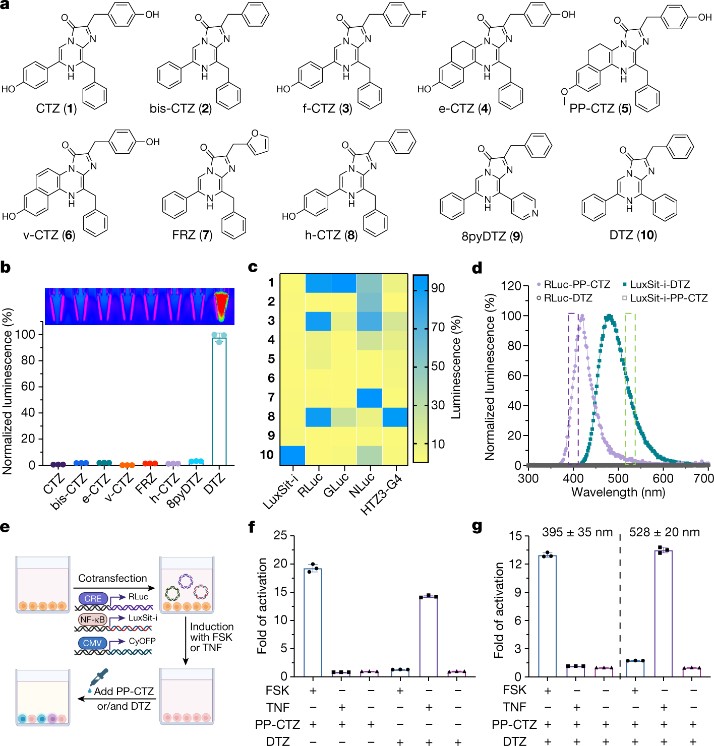 Fig. 4: High substrate specificity of de novo luciferases allows multiplexed bioassay.