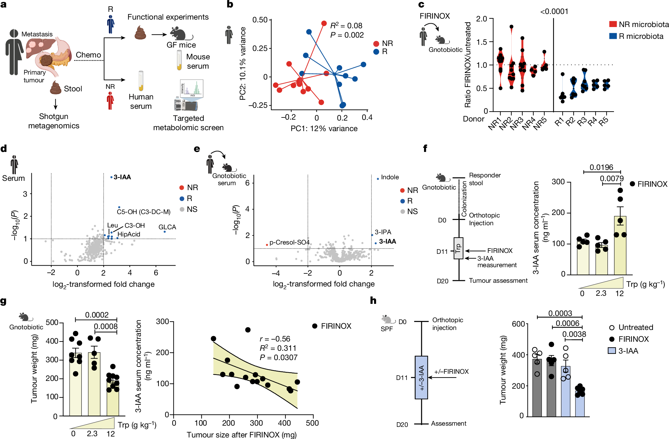 Fig. 1: 3-IAA induces a response to FIRINOX in mouse models of PDAC.