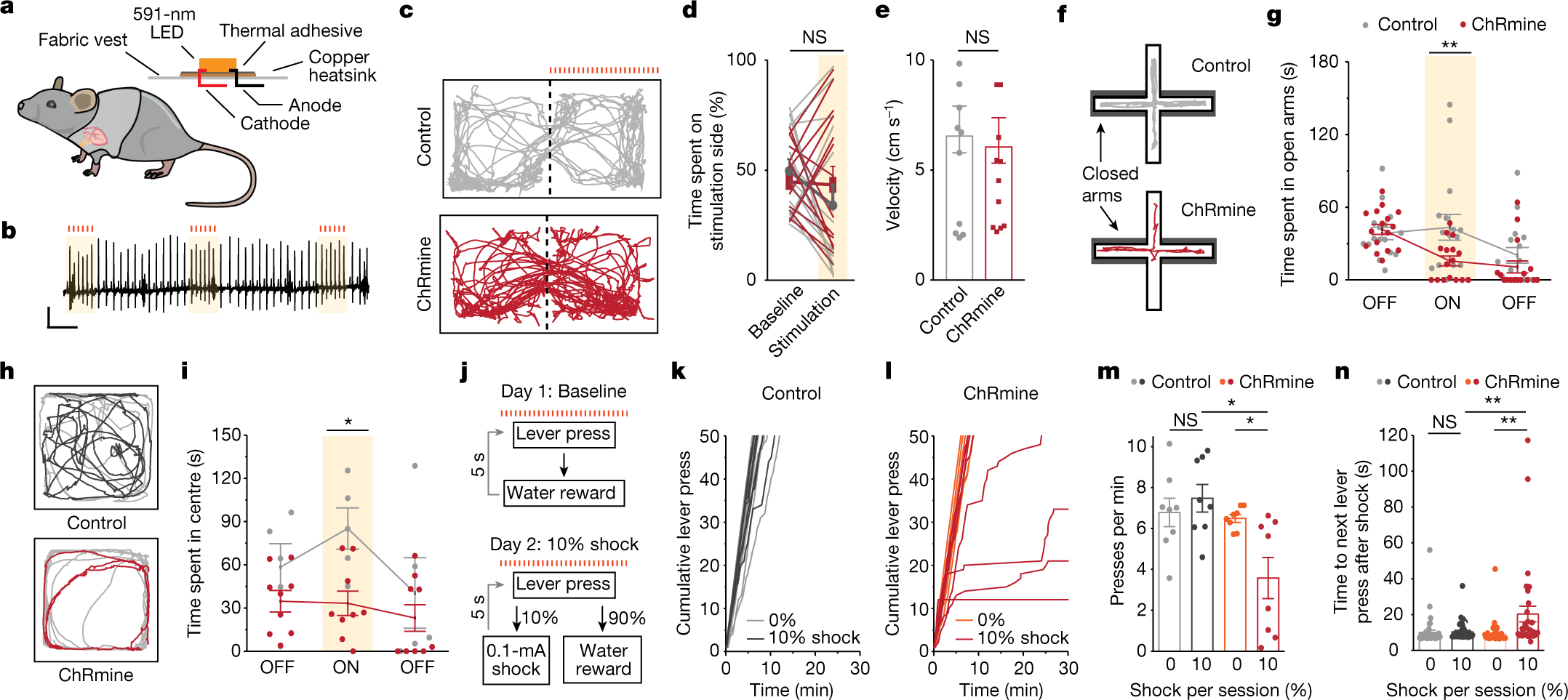 Fig. 2: Optically induced tachycardia increases anxiety-like behaviour.