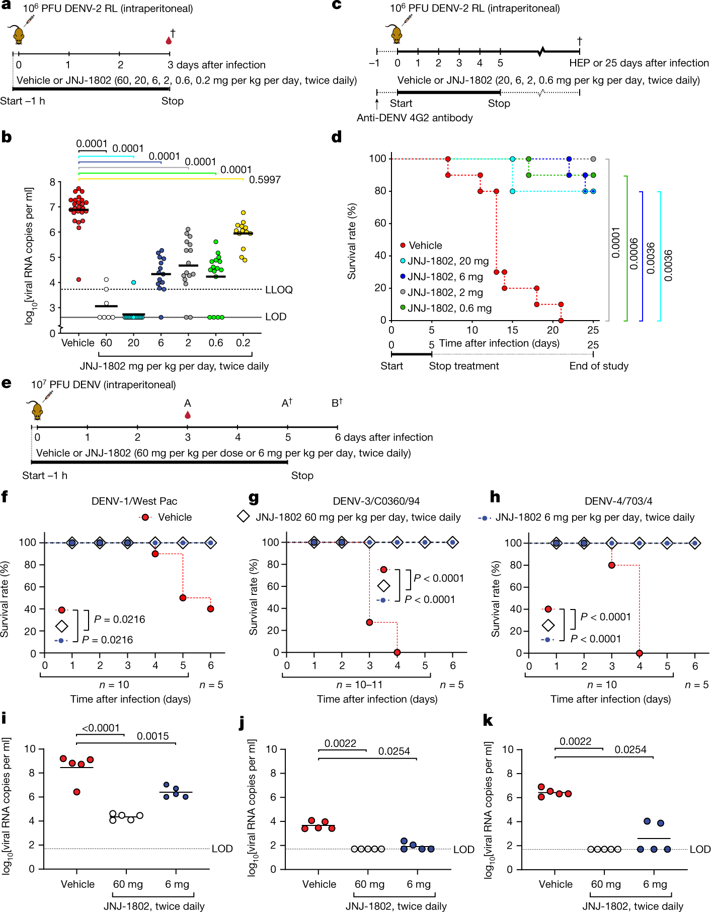 Fig. 2: In vivo efficacy of JNJ-1802 (b.i.d.) against DENV-1–4 after infection in AG129 mice.