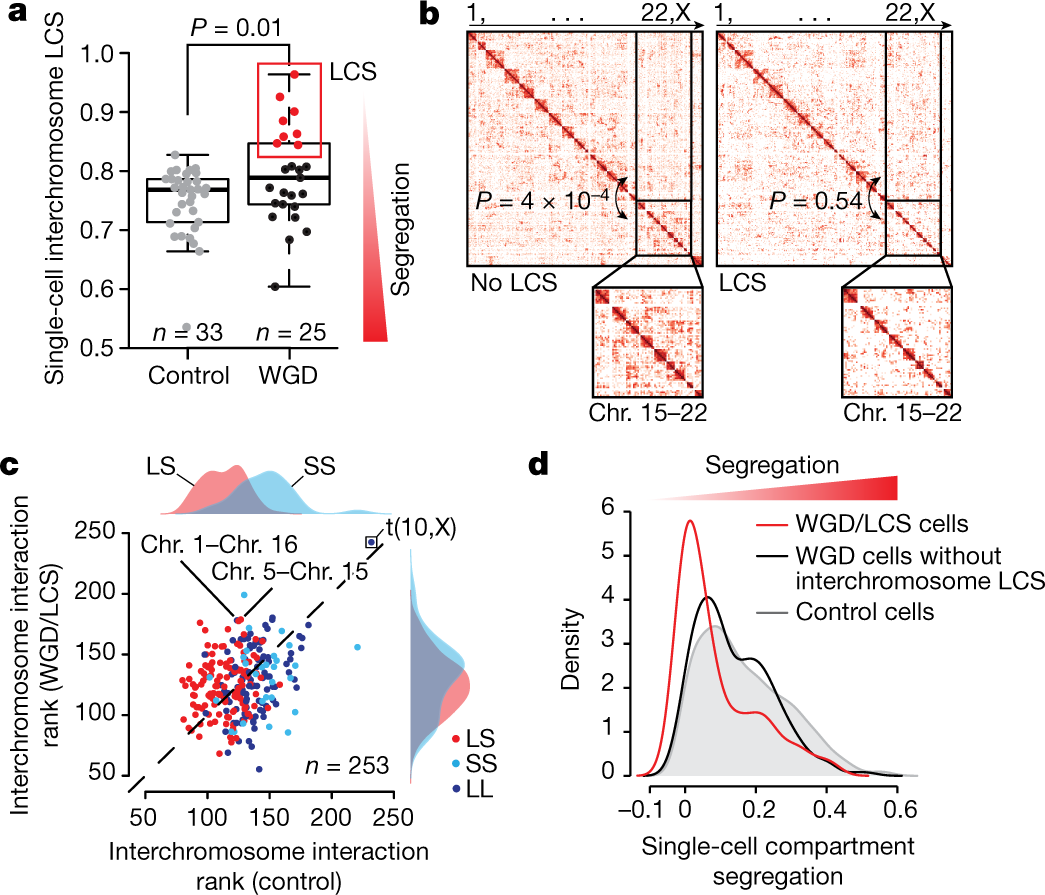 Fig. 3: LCS in WGD single cells.