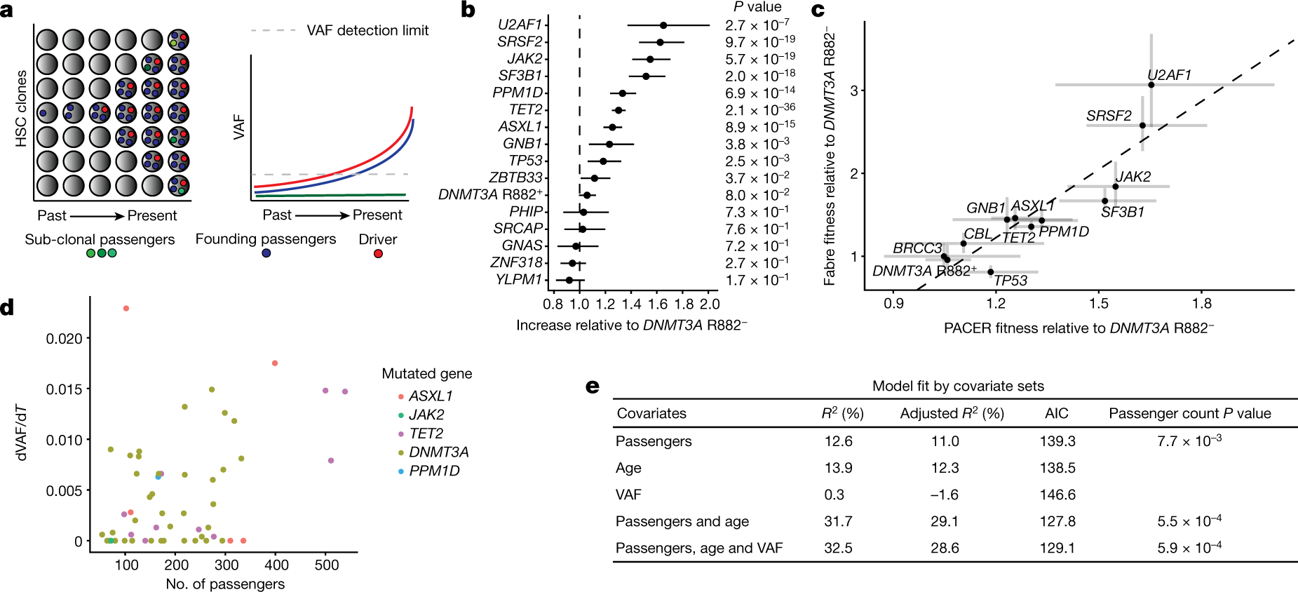 Aberrant activation of TCL1A promotes stem cell expansion in clonal  haematopoiesis | Nature