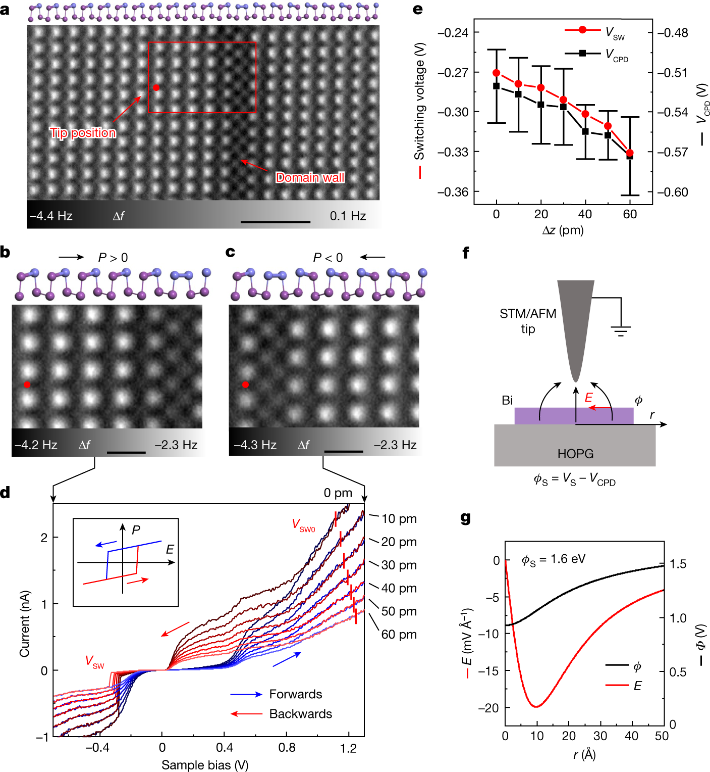 Fig. 3: Ferroelectric domain switching by STM/AFM tip.
