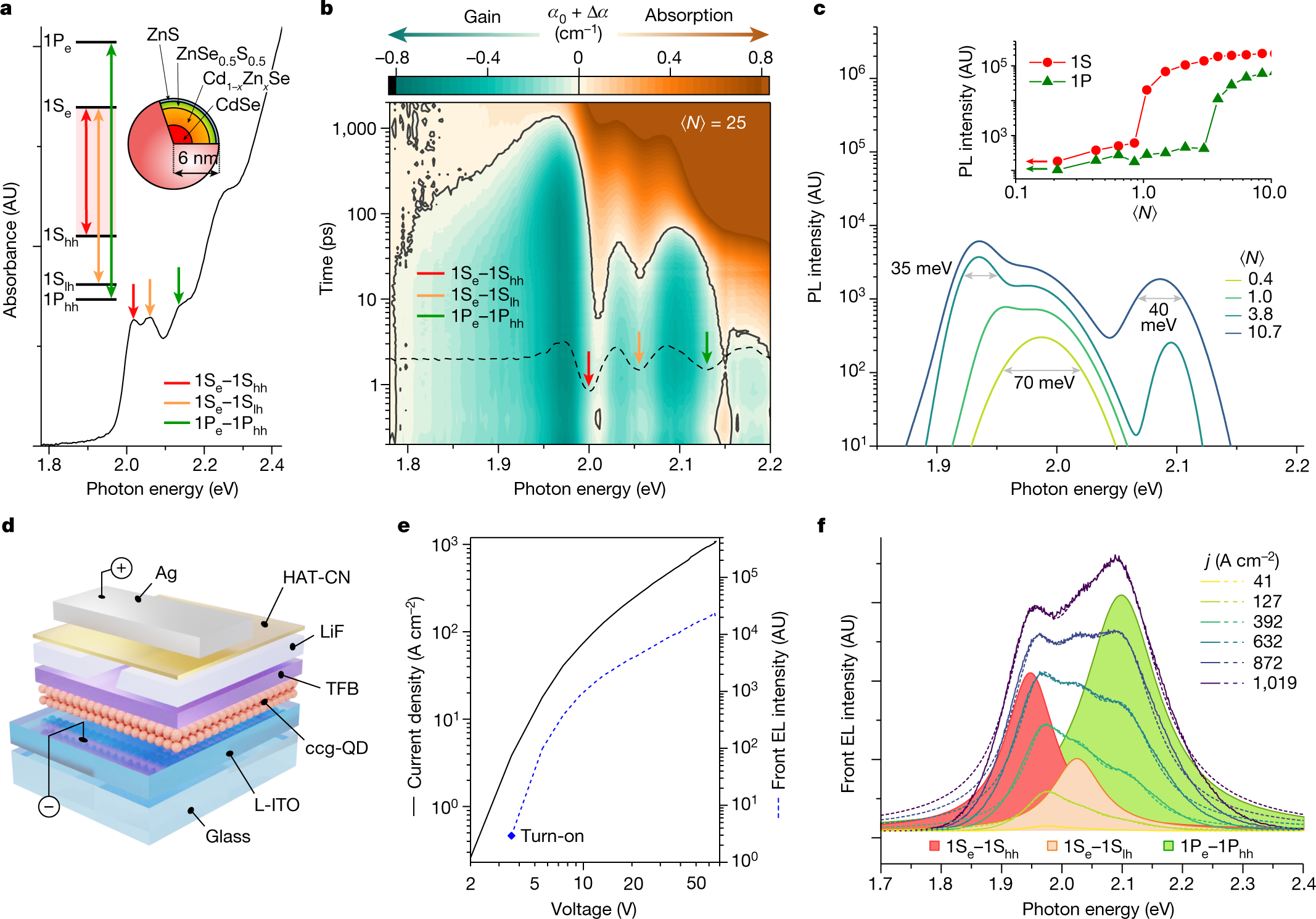 Light-Generating CdSe/CdS Colloidal Quantum Dot-Doped Plastic Optical Fibers