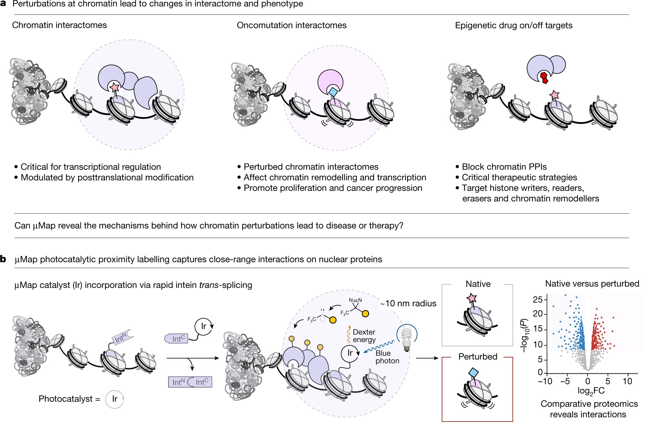 UltraFast Biotinylation Kit (microgram scale, 5 reactions