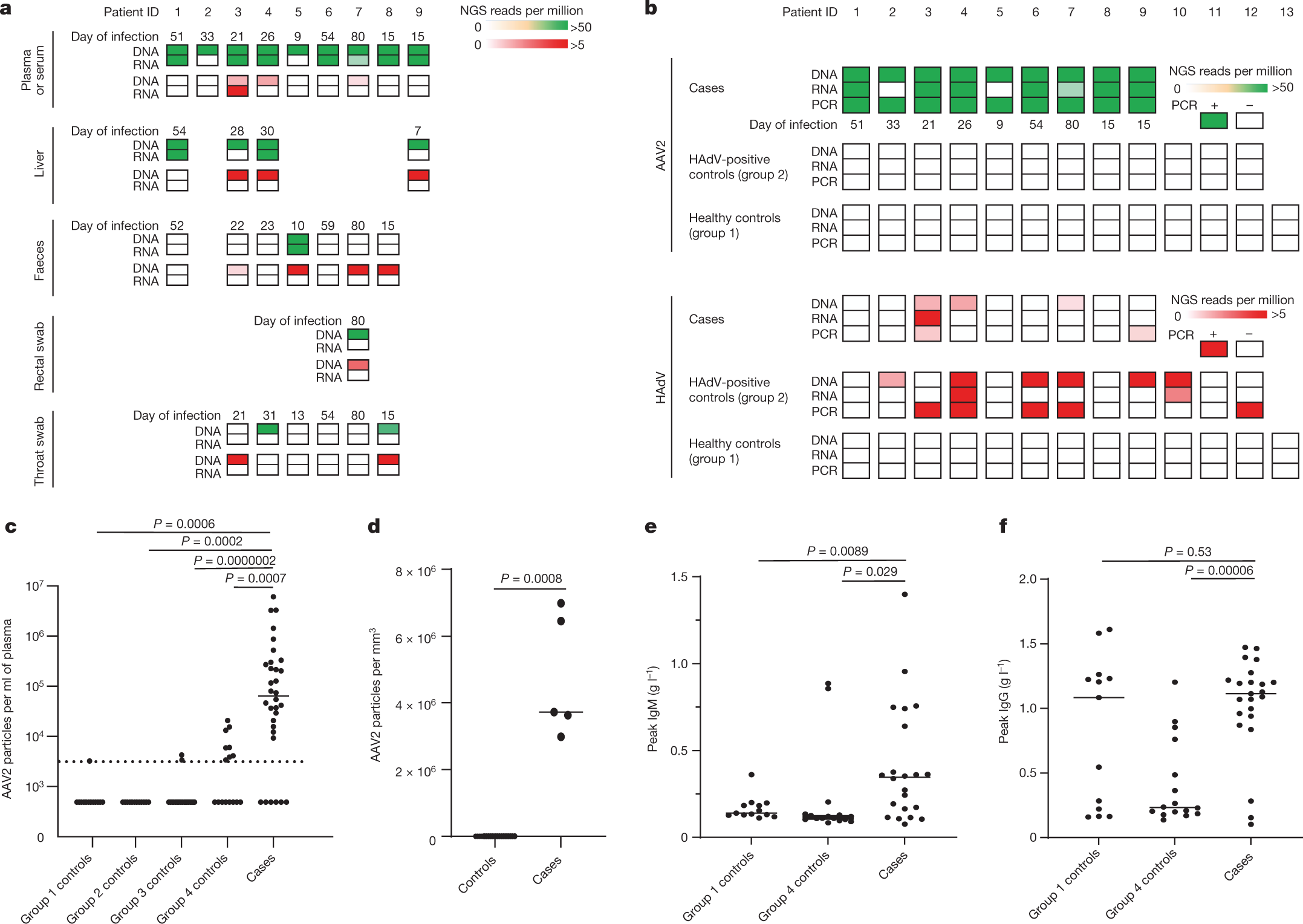 Fig. 2: Detection of AAV2 in cases of paediatric hepatitis.