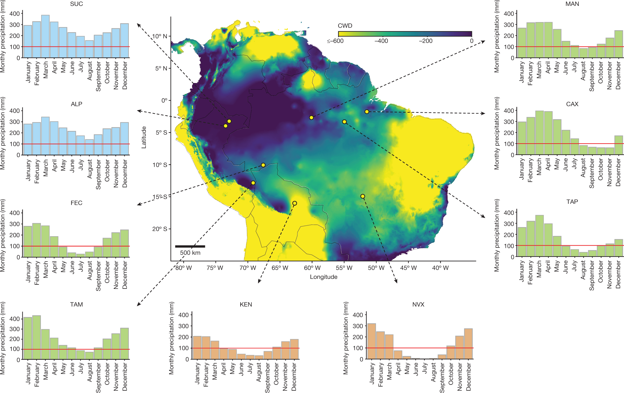 Basin-wide variation in tree hydraulic safety margins predicts the carbon  balance of Amazon forests | Nature
