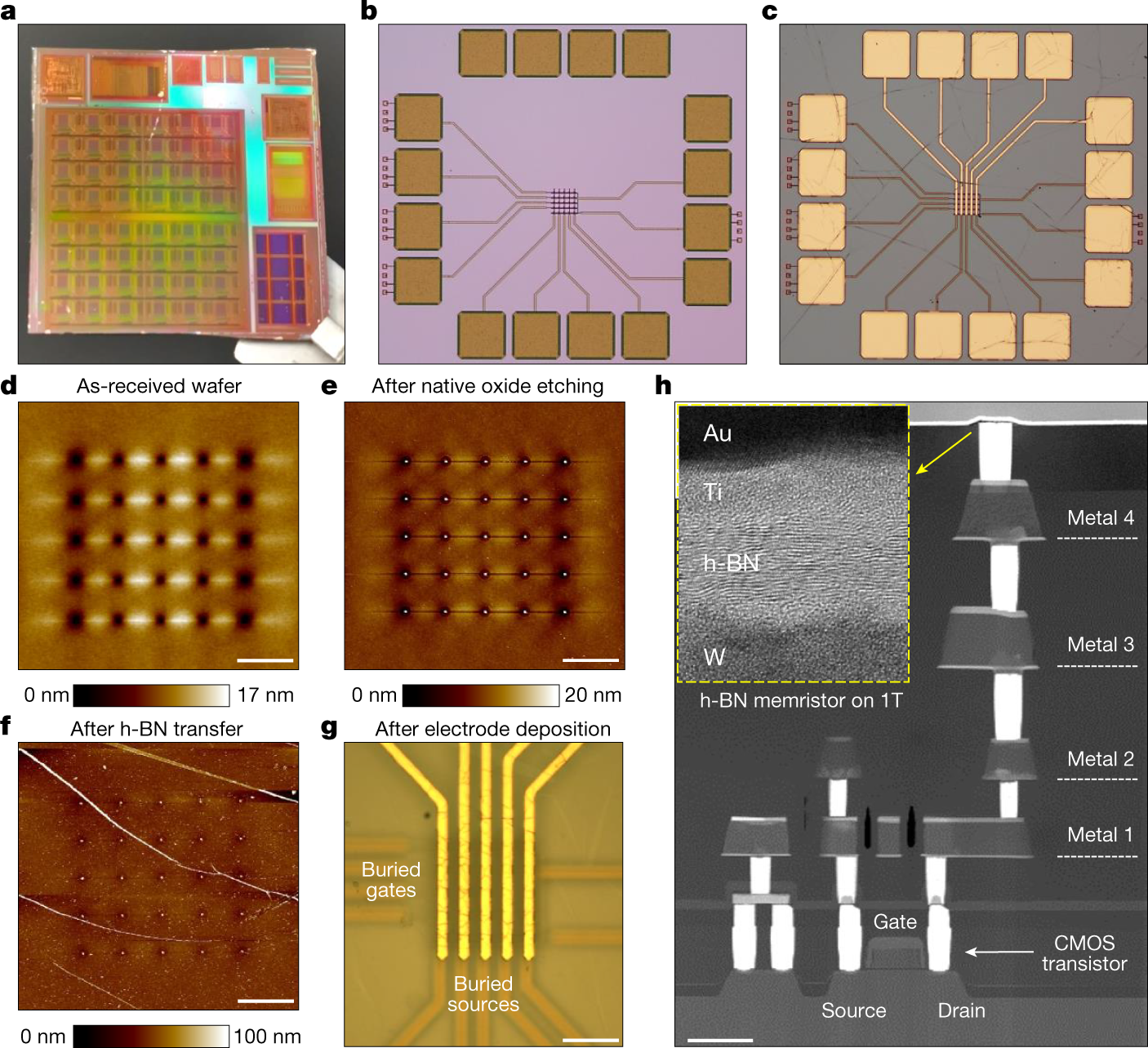 Hybrid 2D–CMOS microchips for memristive applications