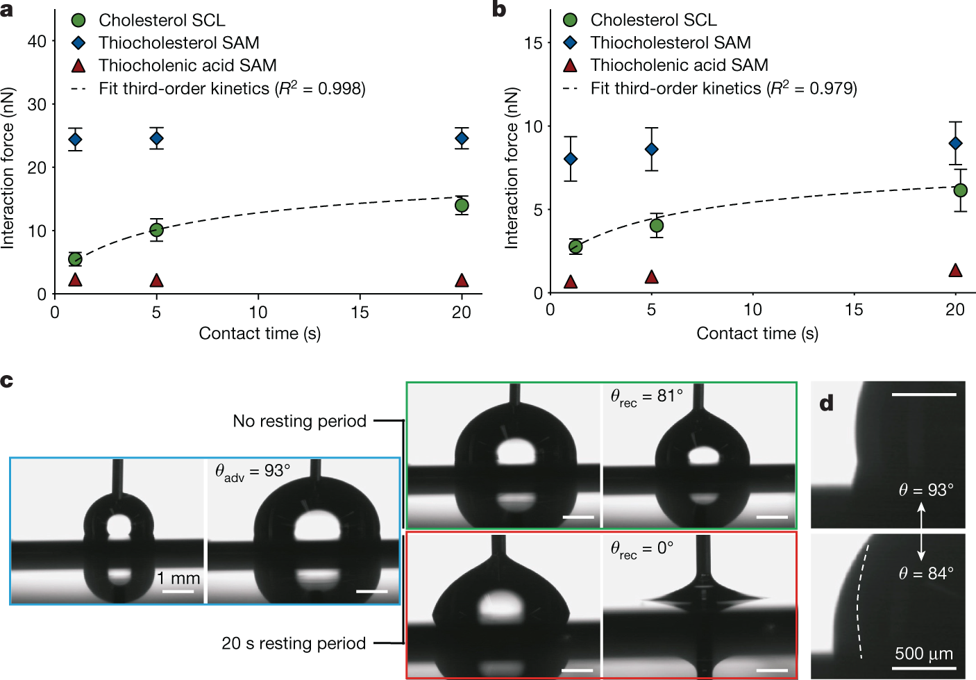 Fig. 2: Cholesterol SCLs dynamically adapt to the polarity of their environment.