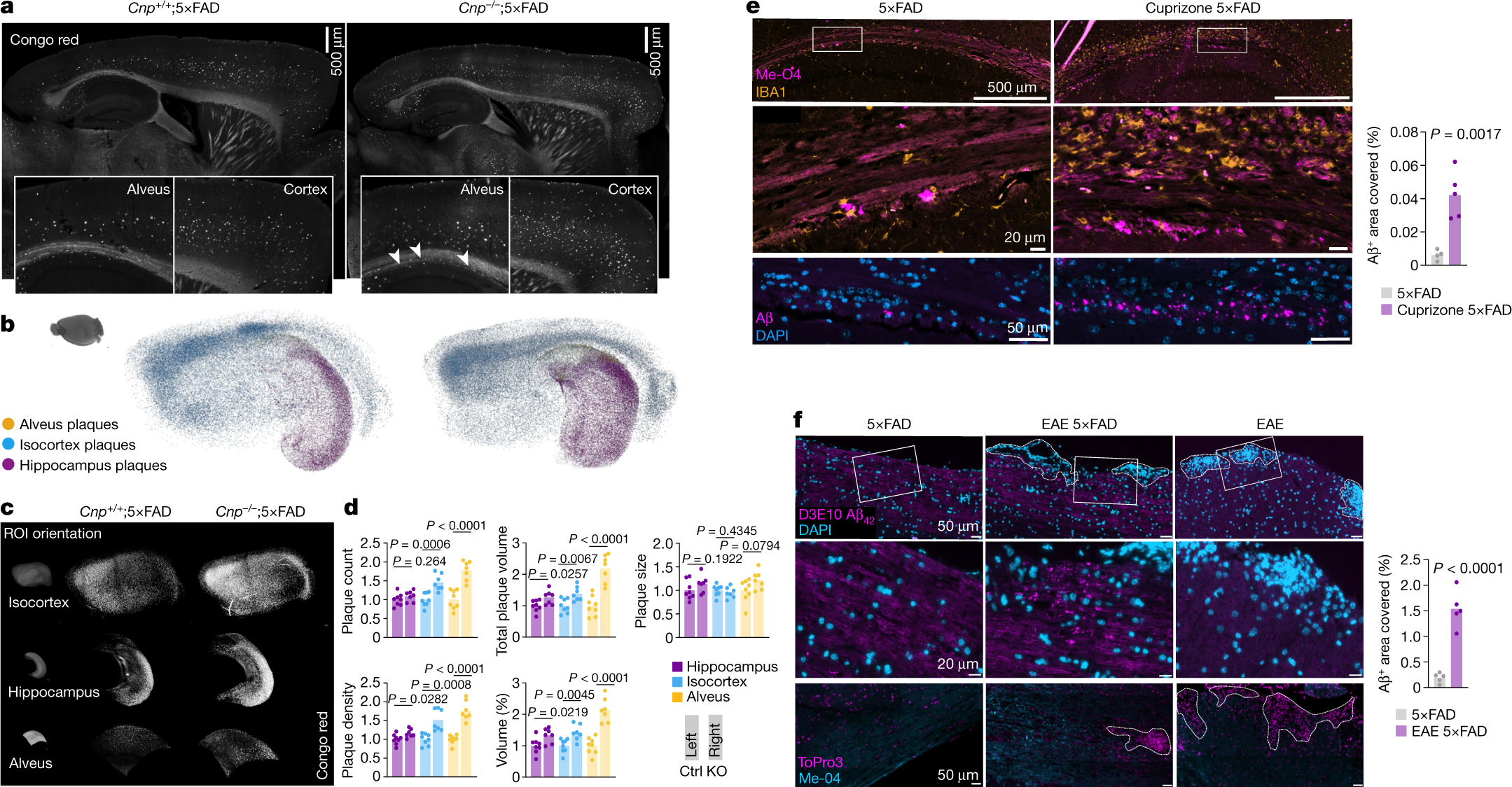 Fig. 2: Dysmyelination and demyelination enhance amyloid plaque deposition in 5×FAD mice.