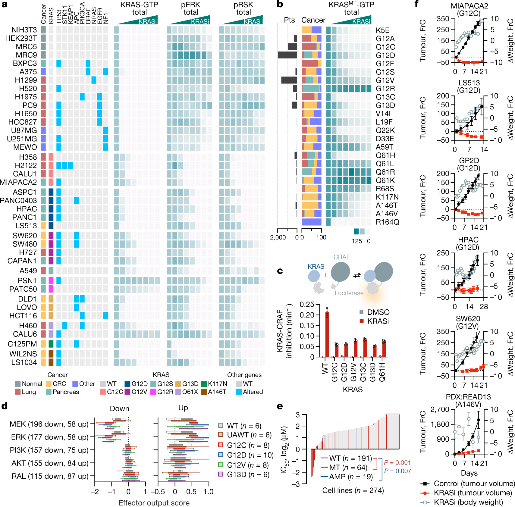 Fig. 4: Selective inhibition of oncogenic signalling and KRAS-driven tumour growth.