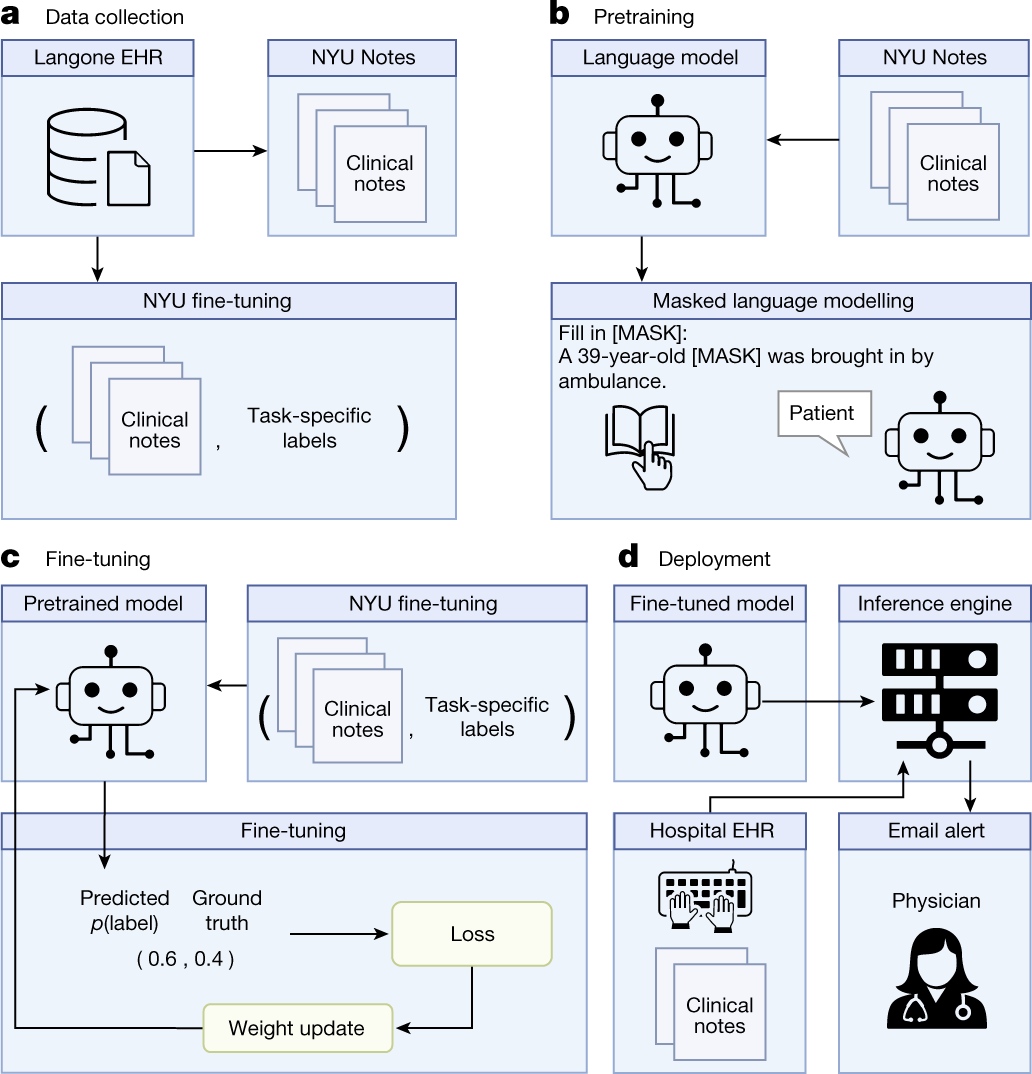 How To Read a Medical Scale -  Learning Hub