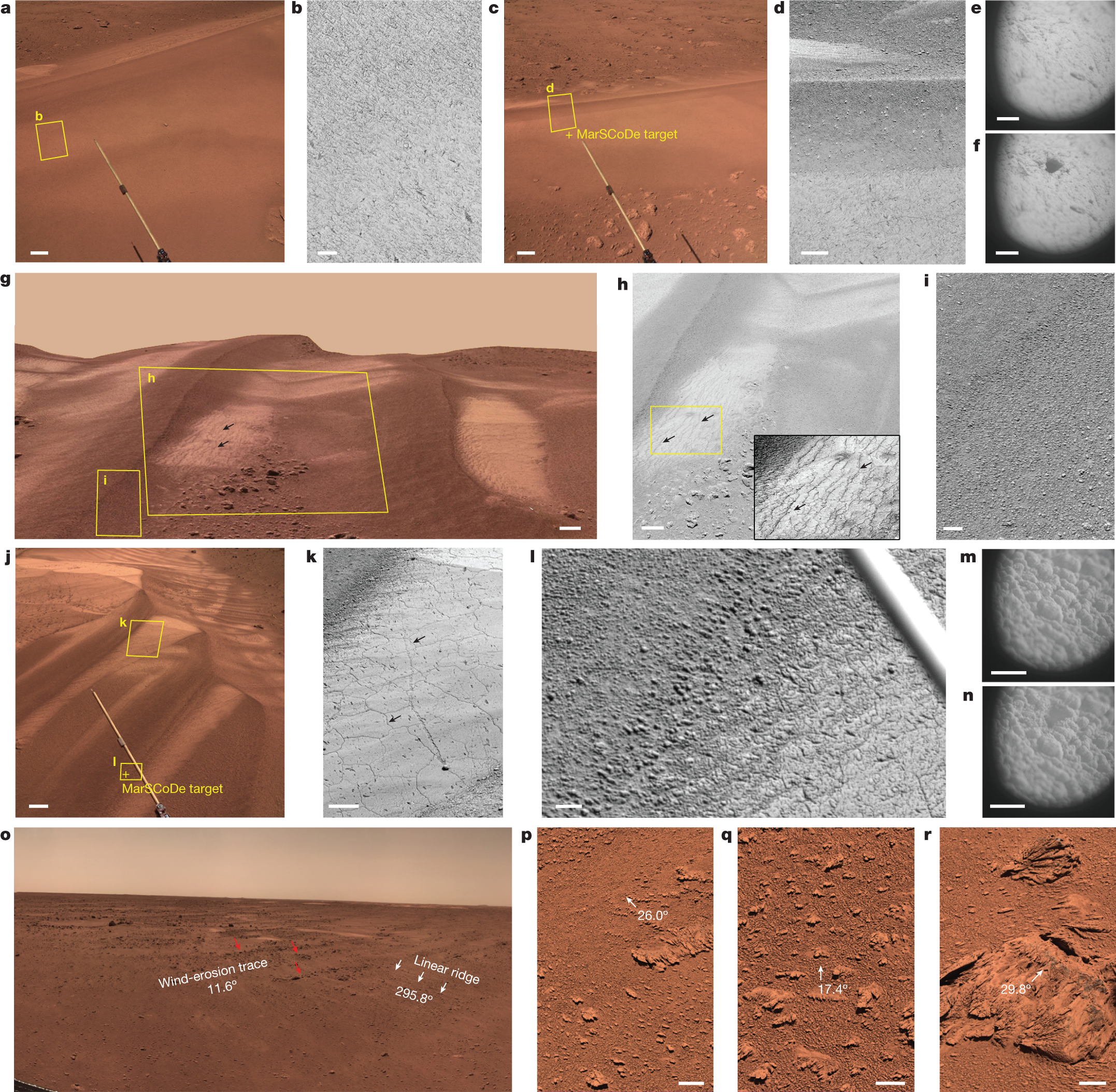Fig. 2: Morphological features of bright sands, dark sands, wind-erosion traces, windblown linear ridges and ventifacts in the Zhurong landing zone.