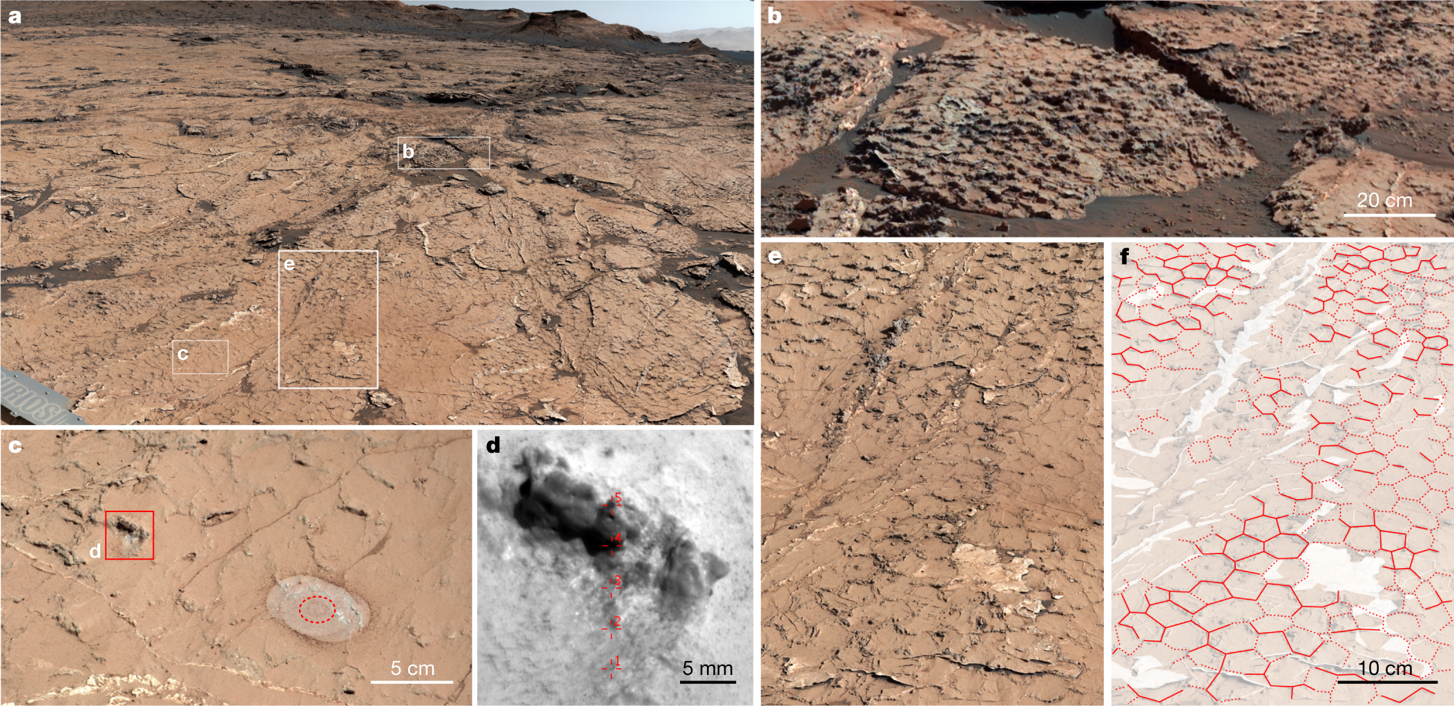 Back Arrow – 03 – Random Curiosity