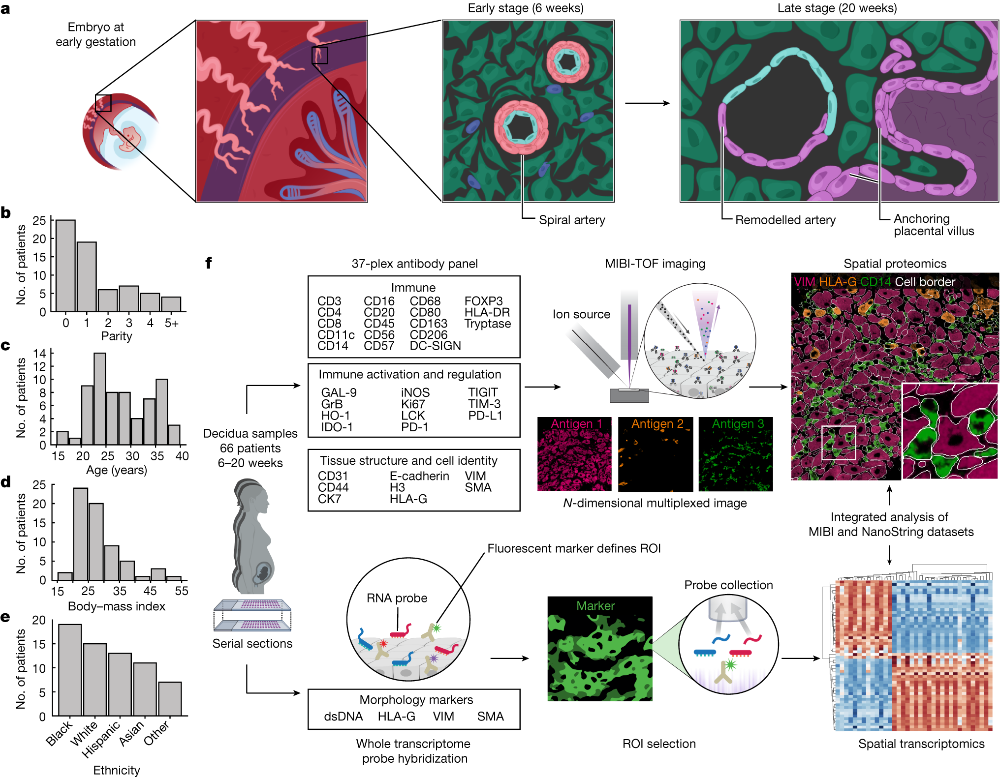 Pattern Vector Images (over 5.9 million)