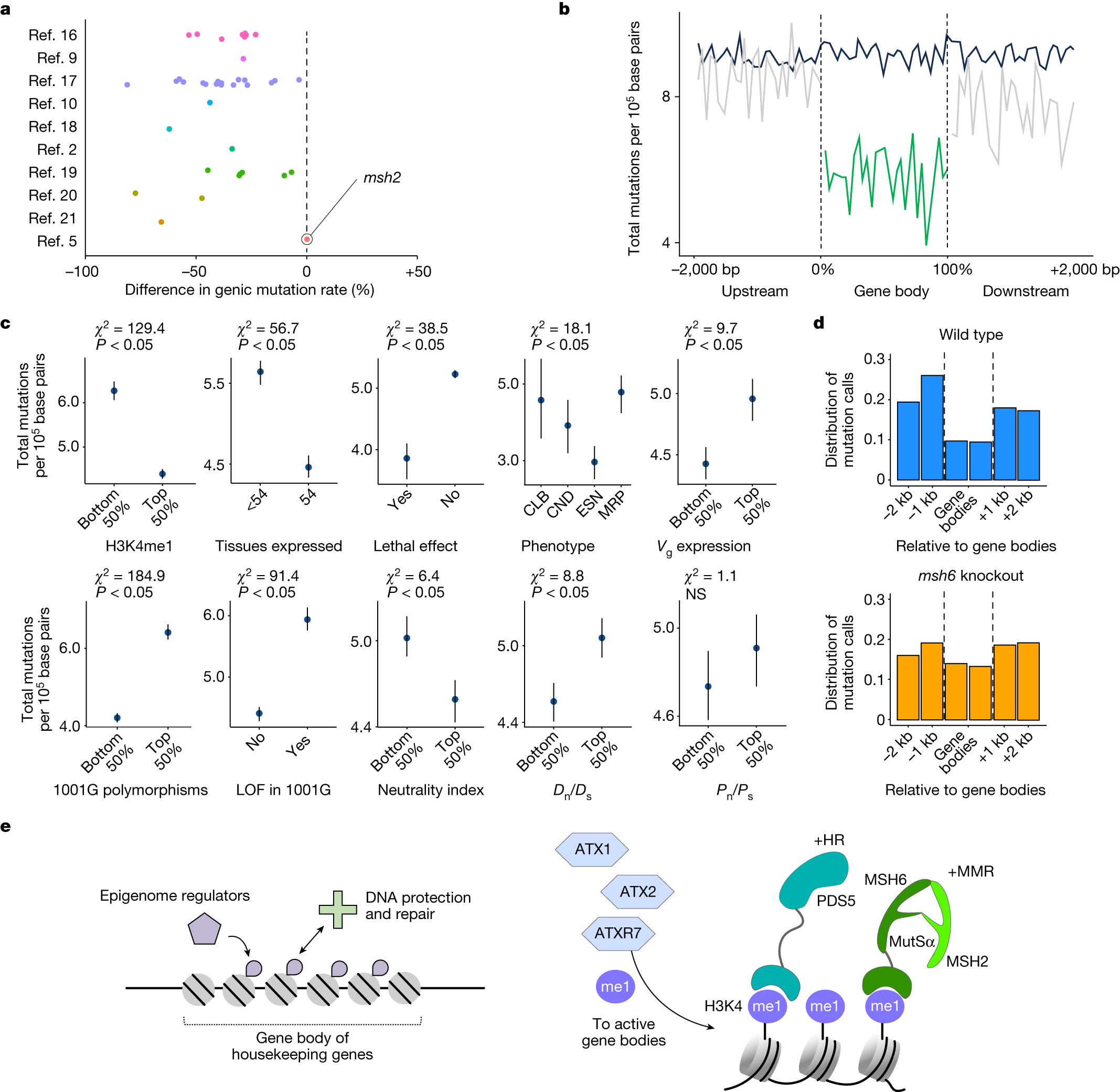 Fig. 2: Joint analyses of germline mutations in several published A. thaliana mutation accumulation studies align with mechanistic models of mutation bias.