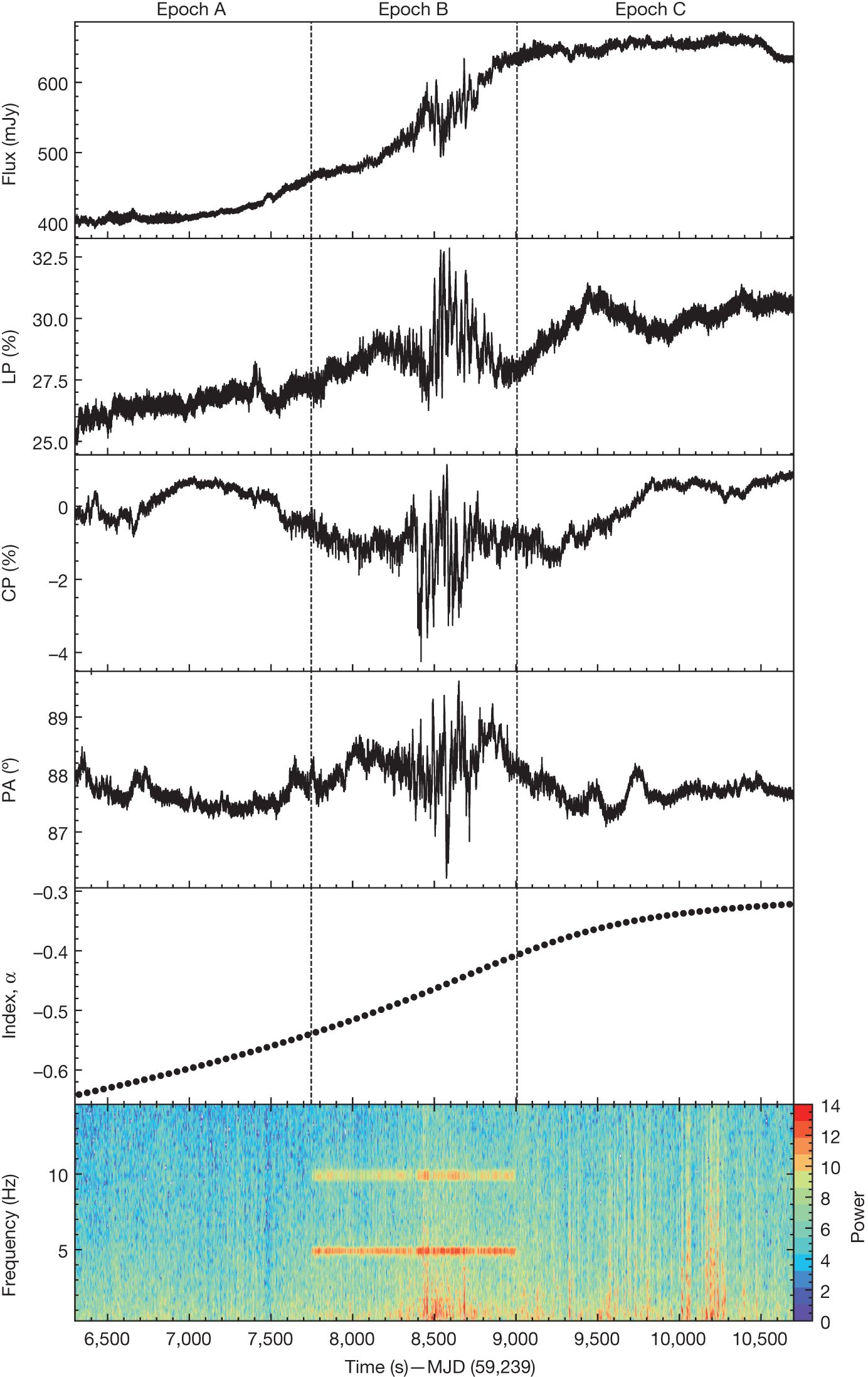 Subsecond periodic radio oscillations in a microquasar Nature