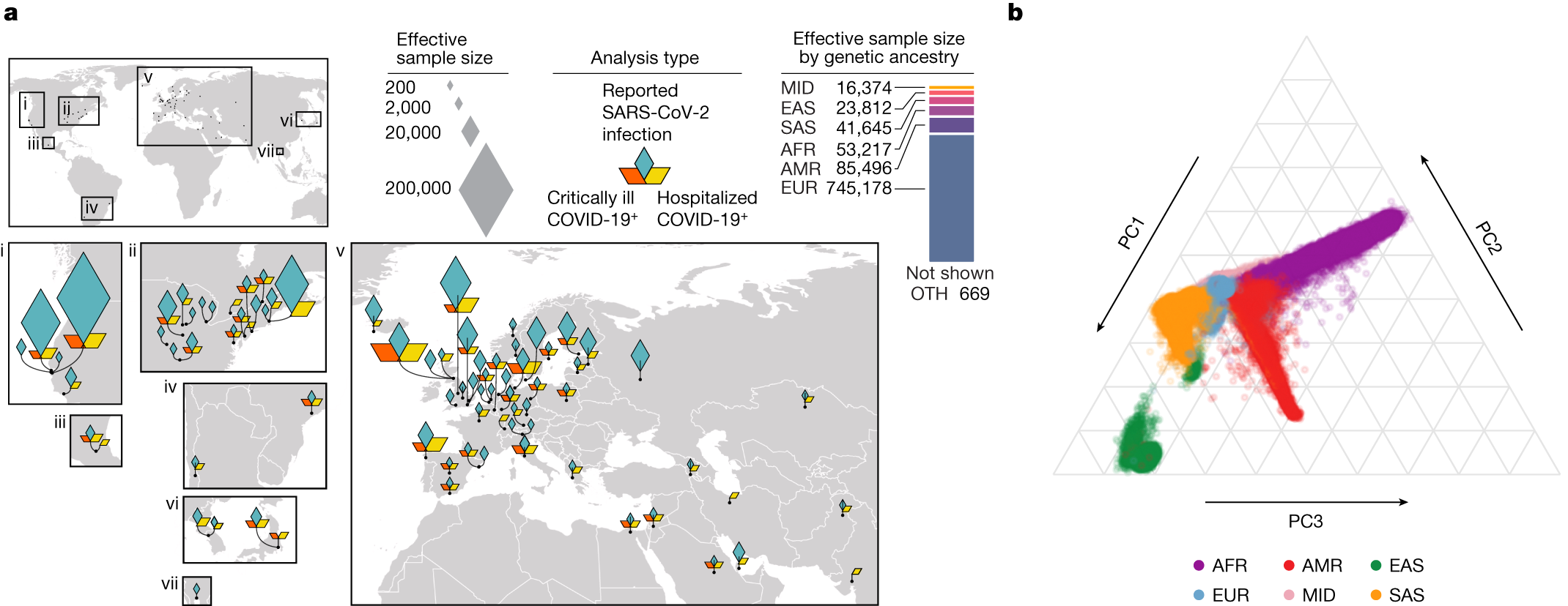 A second update on mapping the human genetic architecture of COVID-19 |  Nature