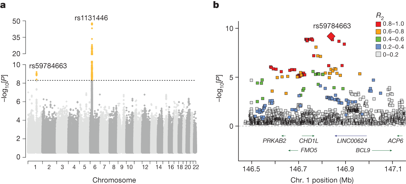 Africa-specific human genetic variation near CHD1L associates with HIV-1  load | Nature