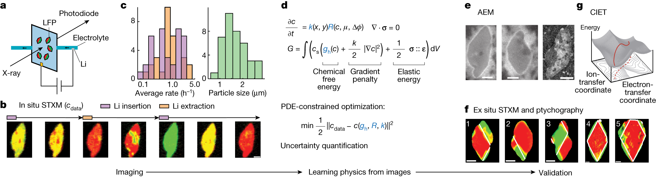 Learning heterogeneous reaction kinetics from X-ray videos pixel by pixel