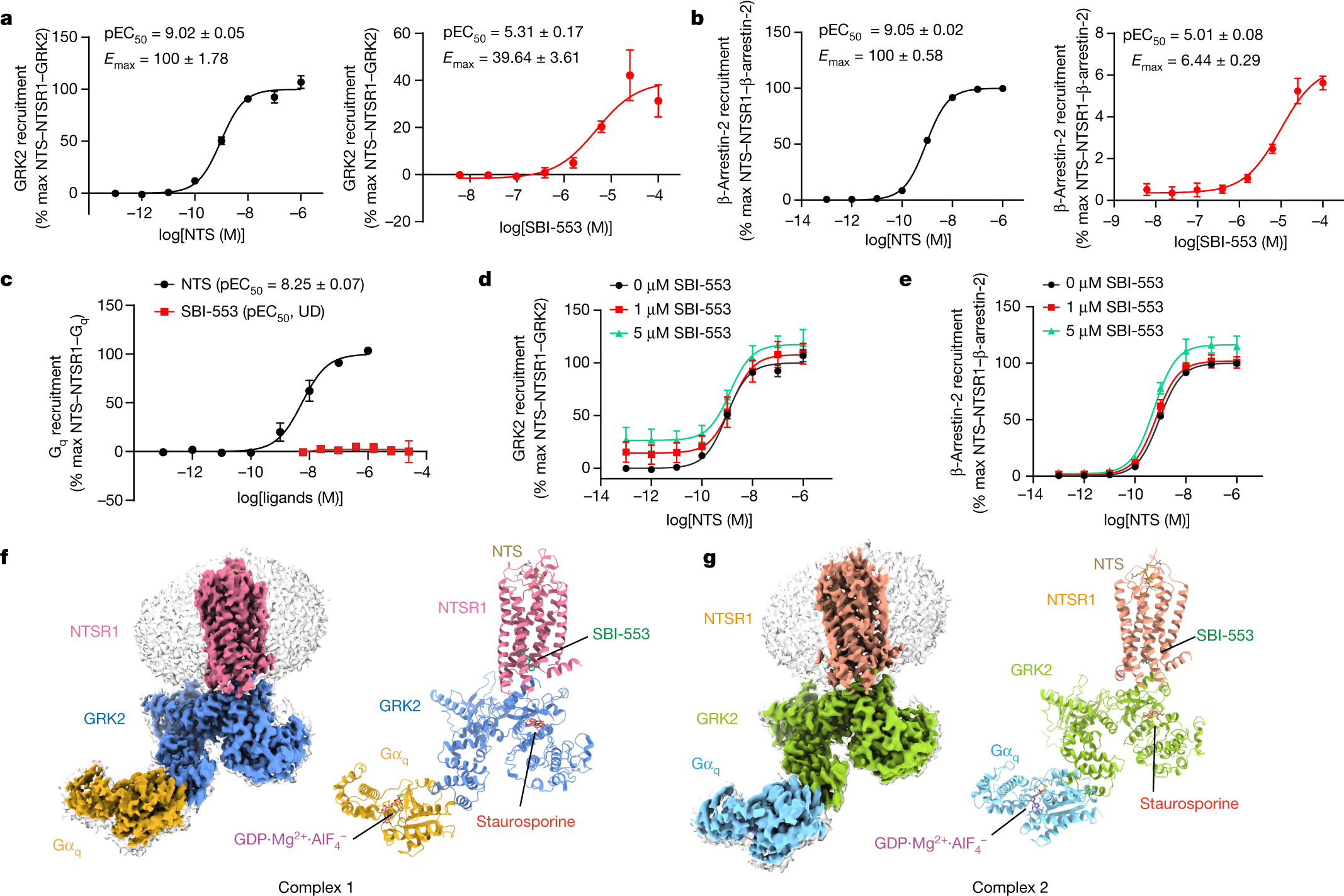 GPCR activation and GRK2 assembly by a biased intracellular agonist - Vimarsana News