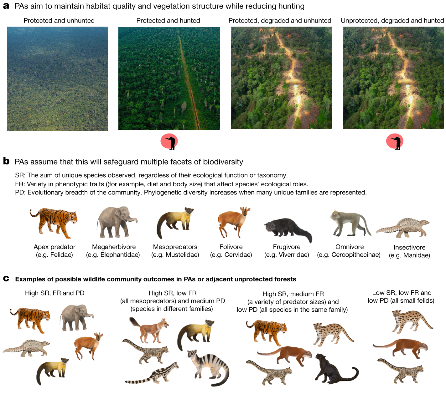 examples of scavengers animals