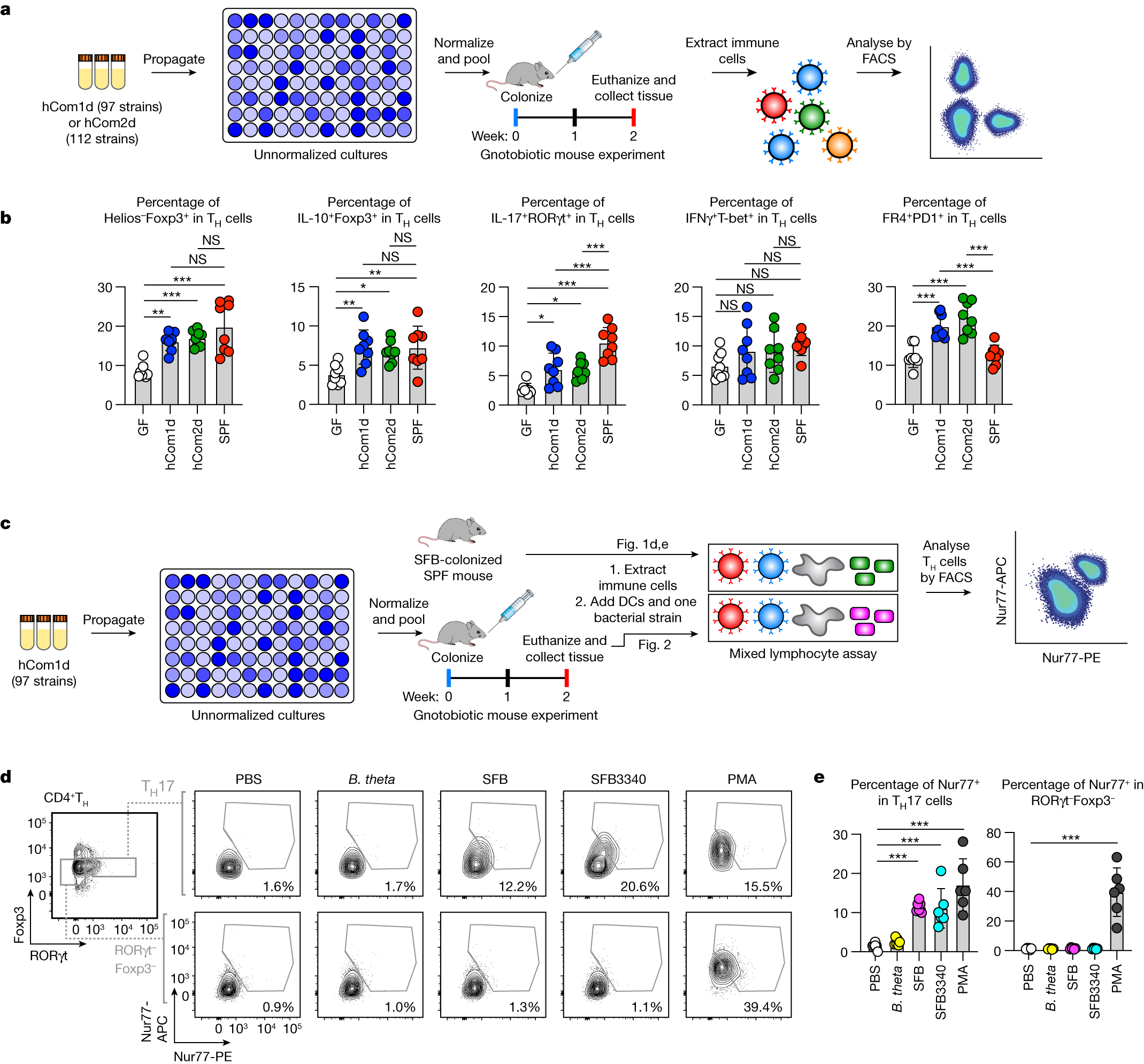 The systemic anti-microbiota IgG repertoire can identify gut