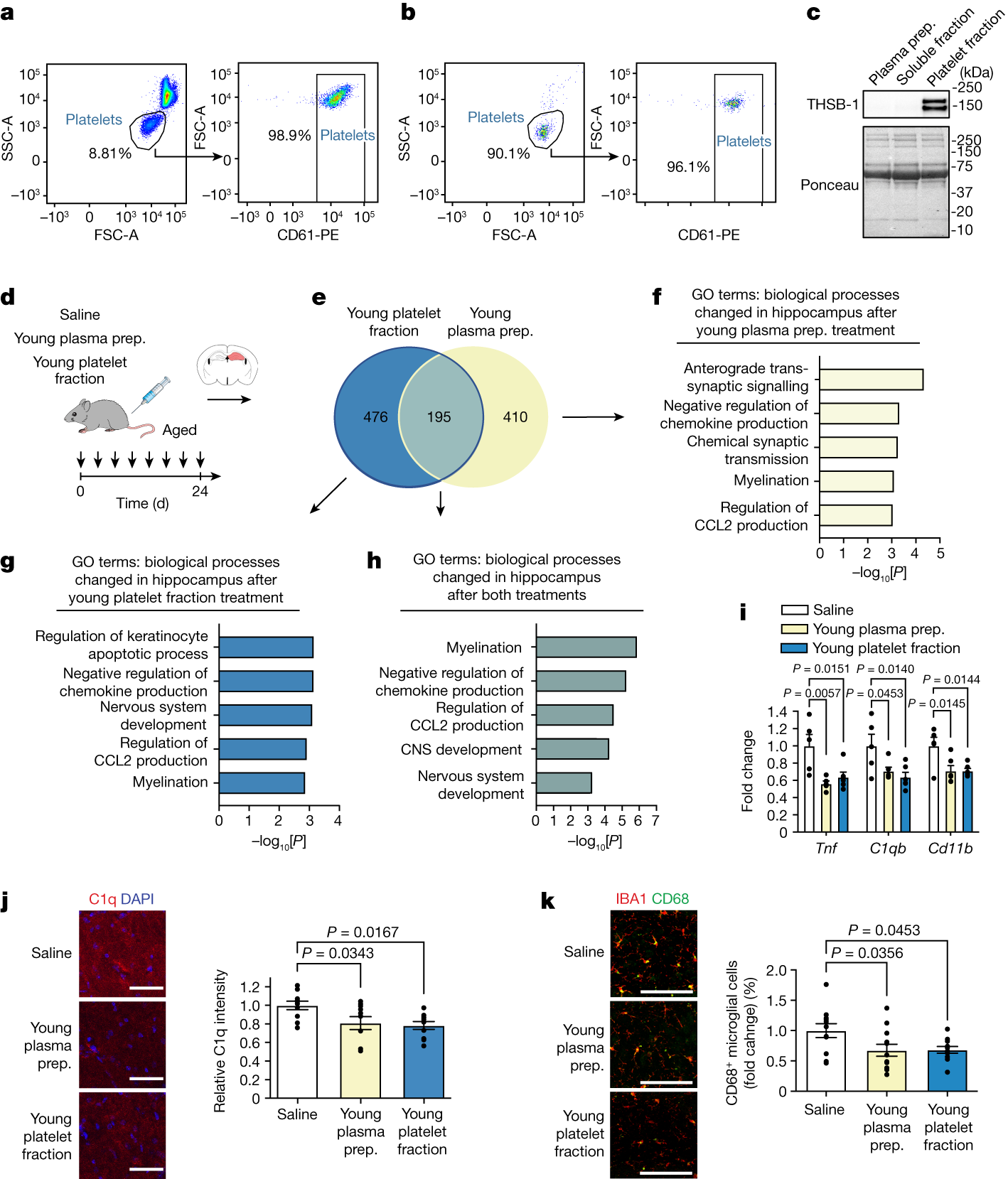 Platelet factors attenuate inflammation and rescue cognition in ageing |  Nature