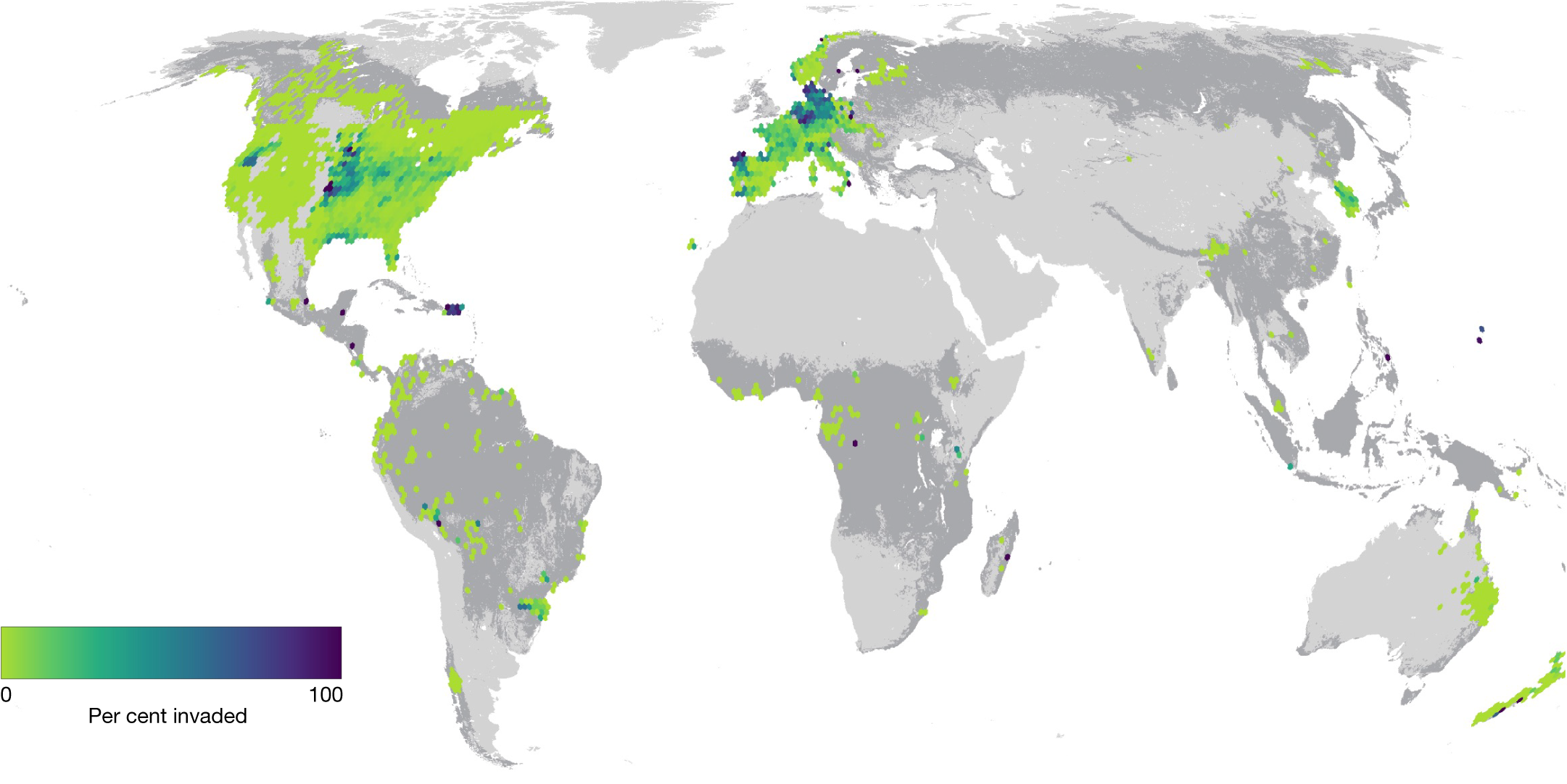 Native diversity buffers against severity of non-native tree invasions Nature