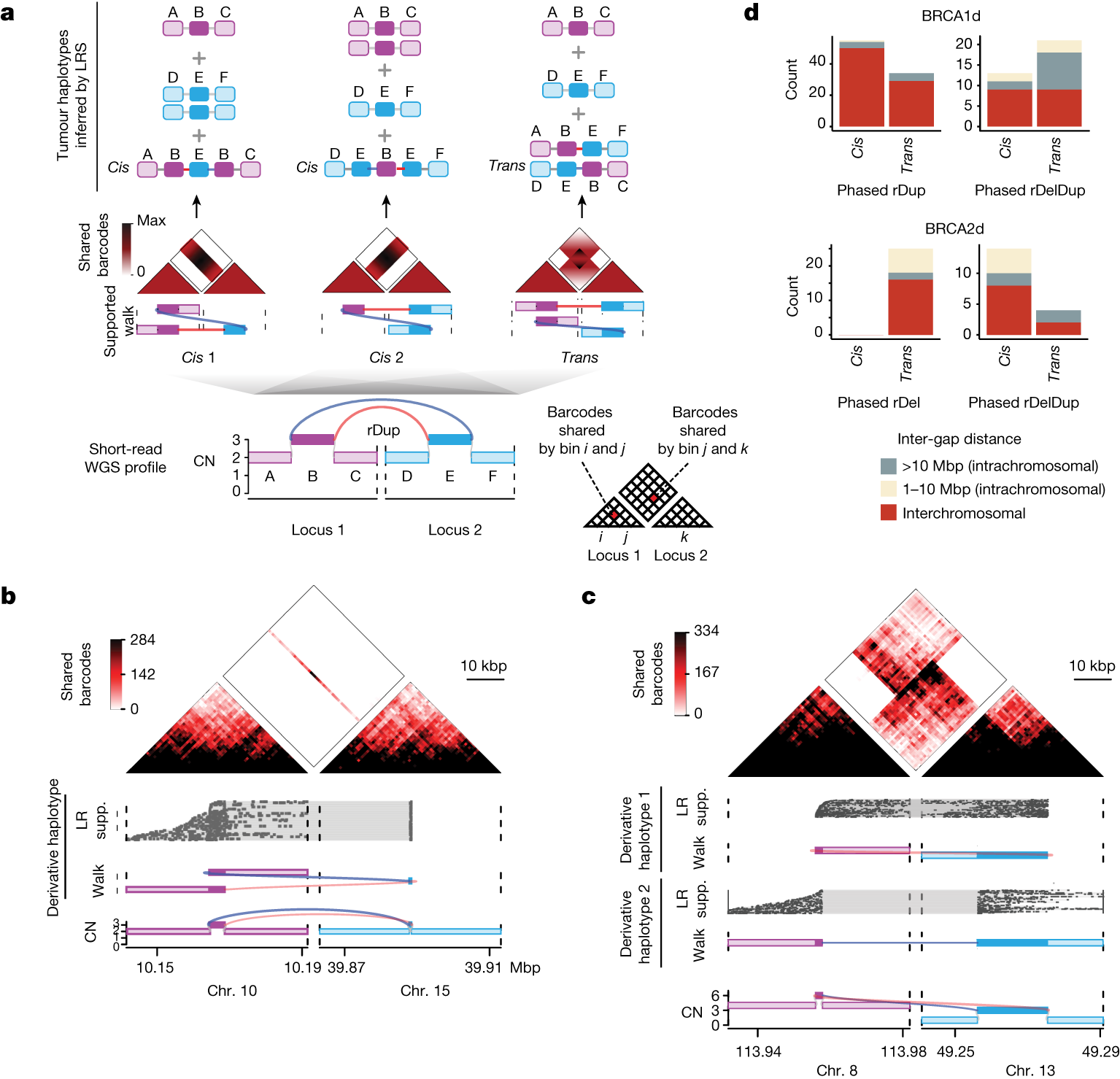Fig. 2: LR WGS reveals cis and trans phases for similar reciprocal pair topologies.