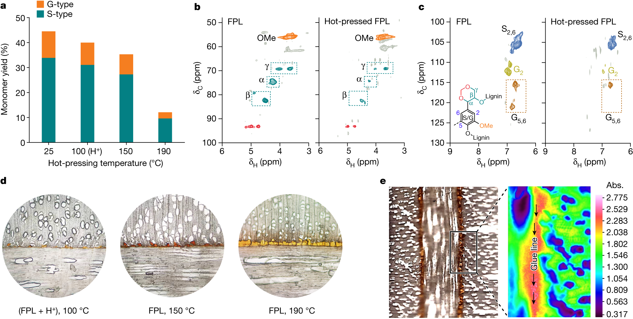 Fig. 4: Adhesion mechanism of lignin adhesives for bonding wood.