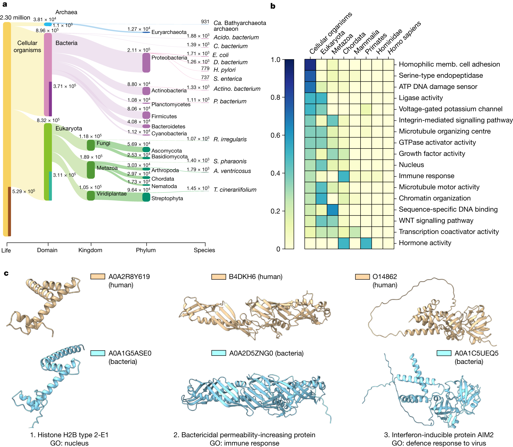 Fig. 3: Evolutionary distribution of clusters and human-centric cluster analysis.