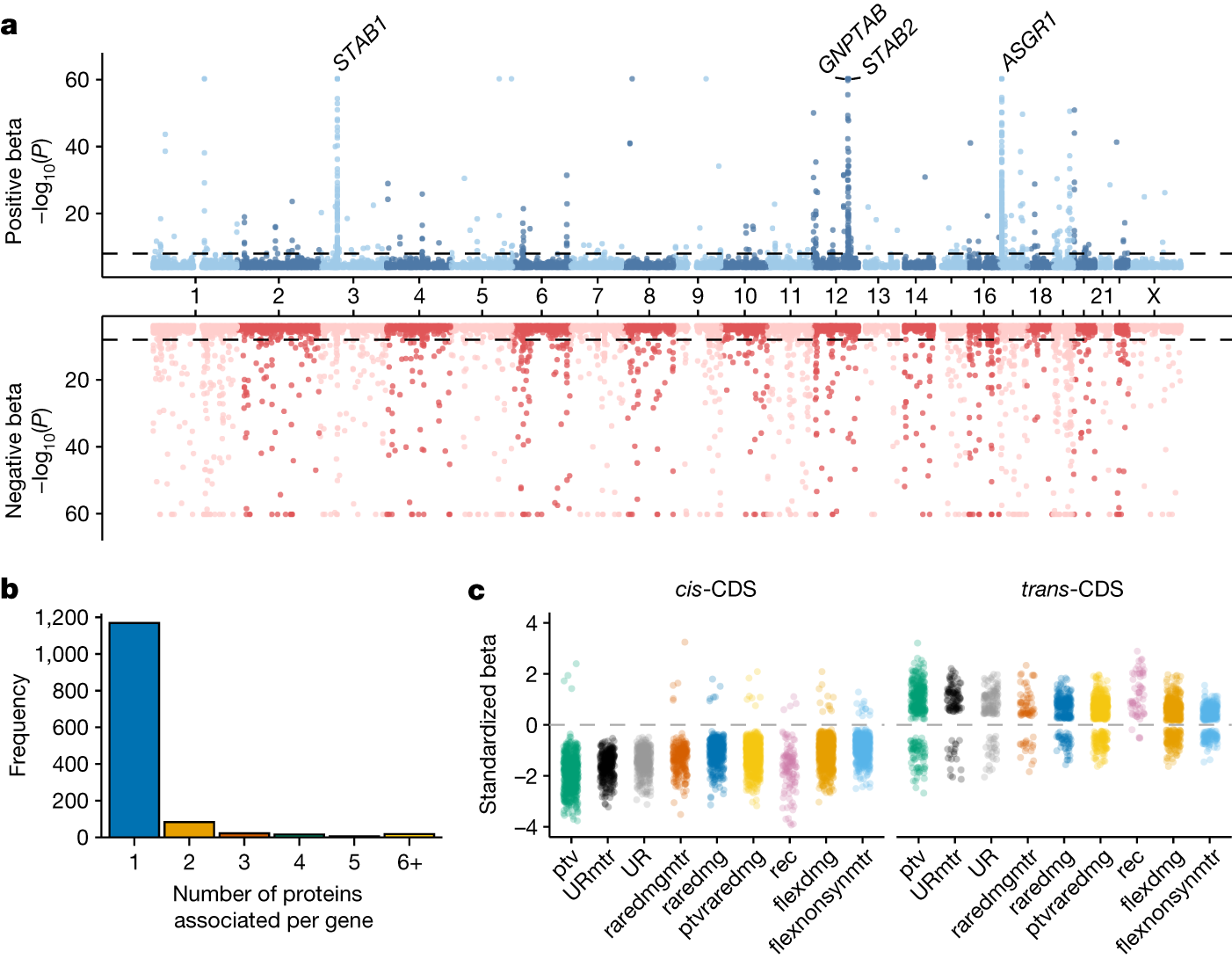 Fig. 2: Gene-level collapsing analysis.
