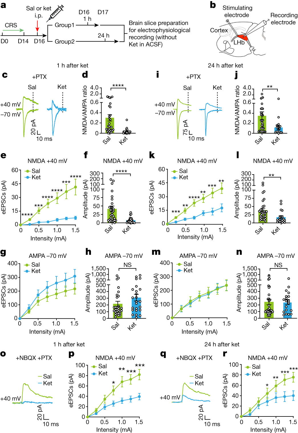 Fig. 2: A single injection of ketamine in CRS mice causes prolonged inhibition of NMDAR currents in the LHb.