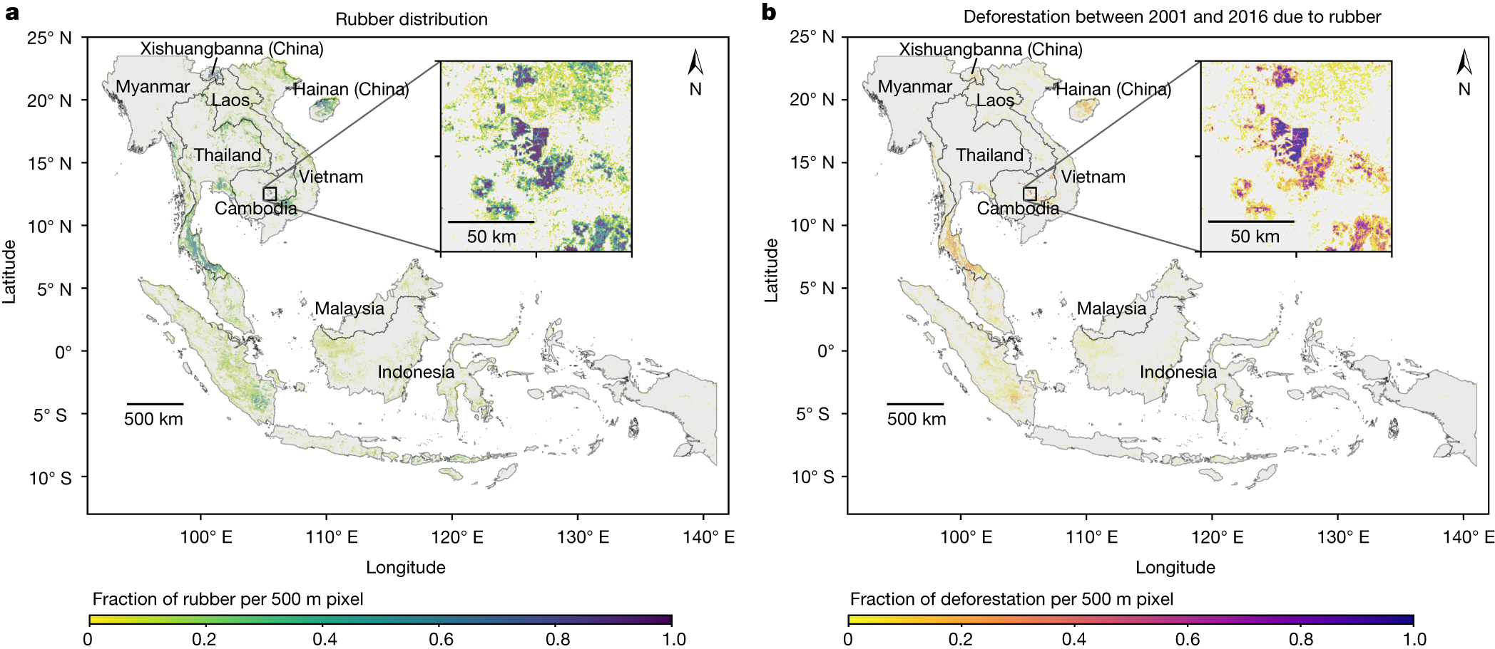 Global Forest Coalition Webinar on Carbon Removals: Unravelling