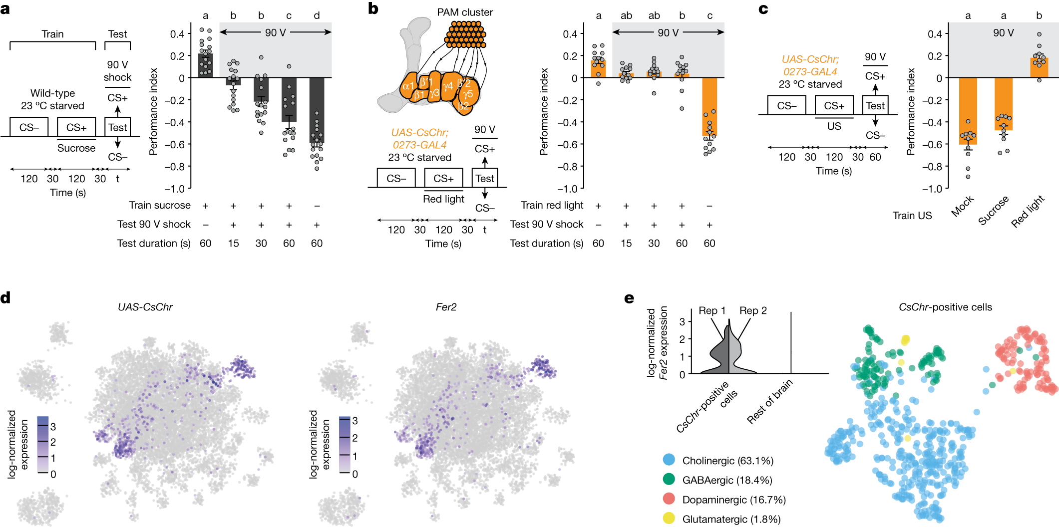 Fig. 1: Fer2-expressing 0273 neurons drive reward seeking despite shock.