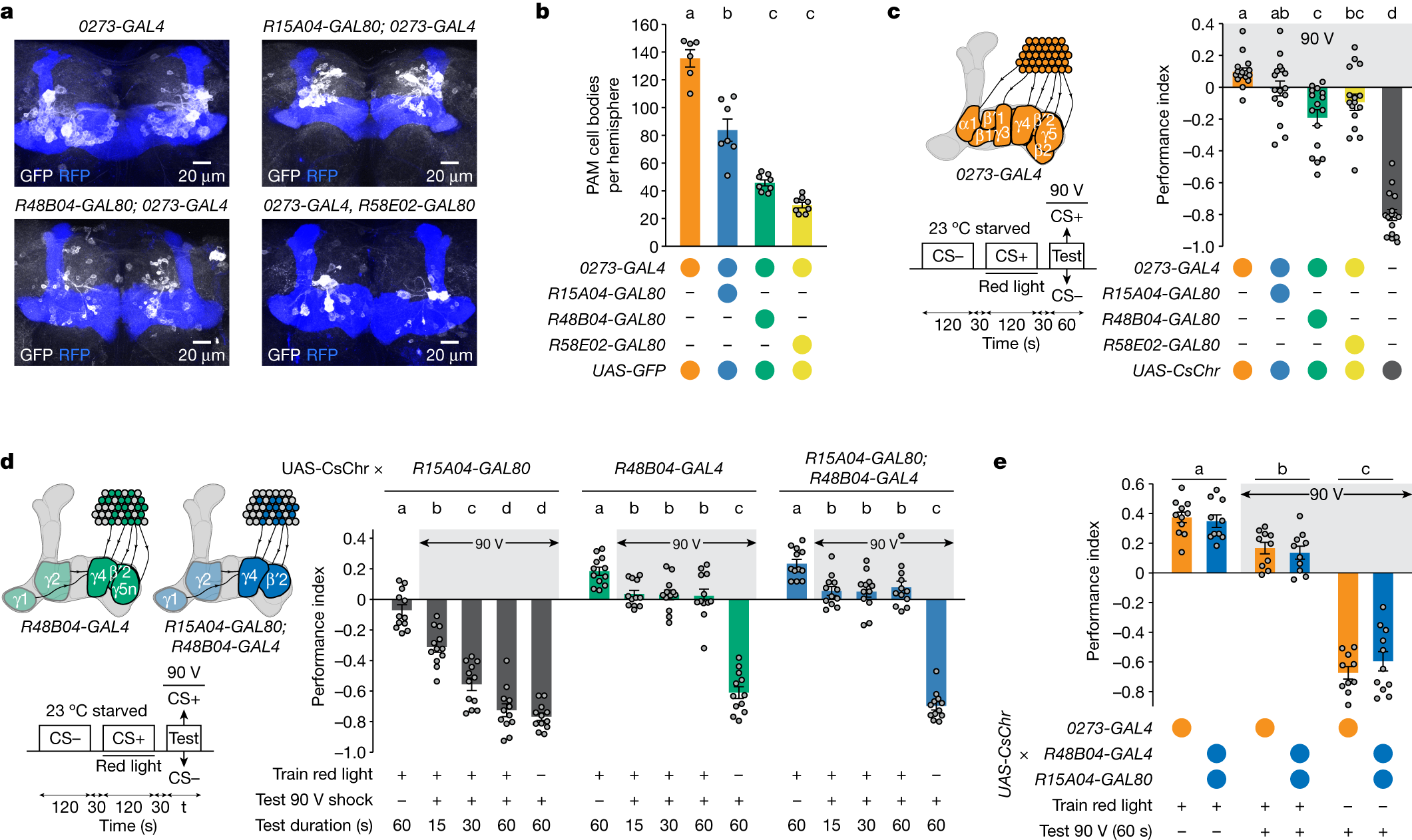 Fig. 2: Specific PAM DANs recapitulate 0273-neuron-mediated reward seeking.