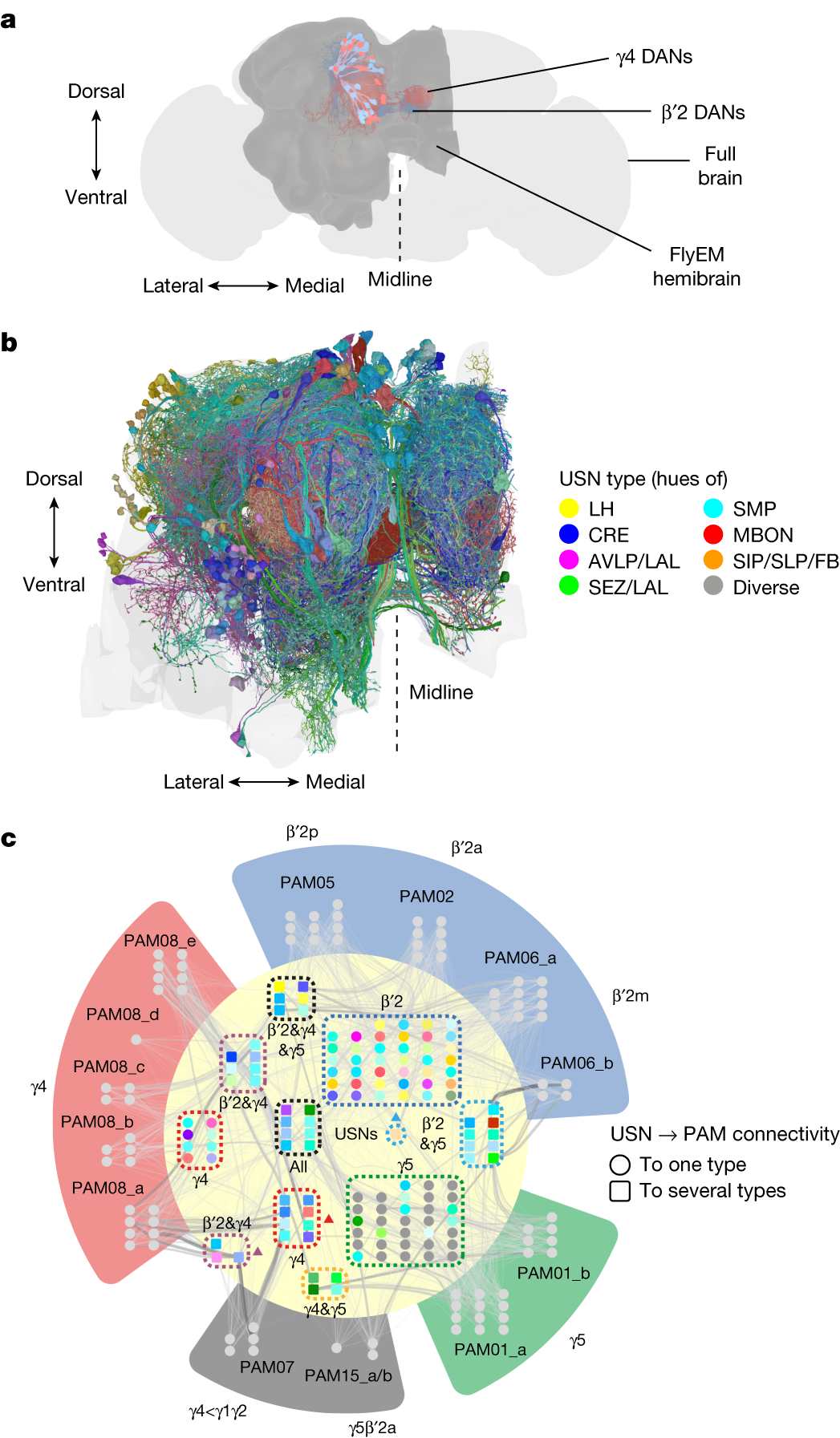 Fig. 5: Reward DANs receive diverse and heterogeneous input.