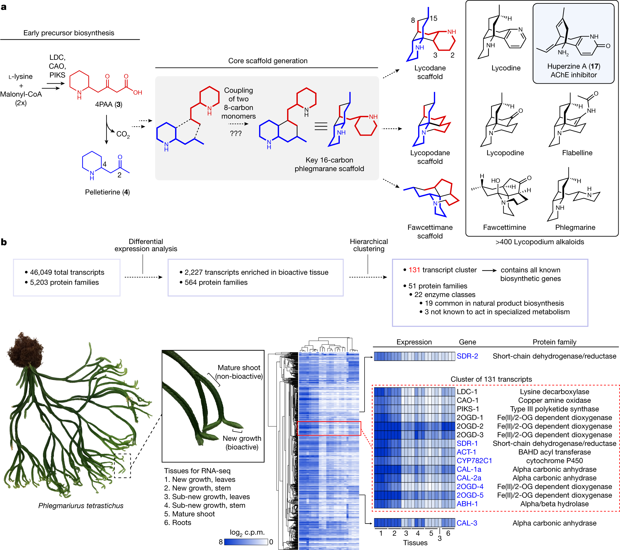 8] Question :/ Can you change Toxels nature before evolving it to