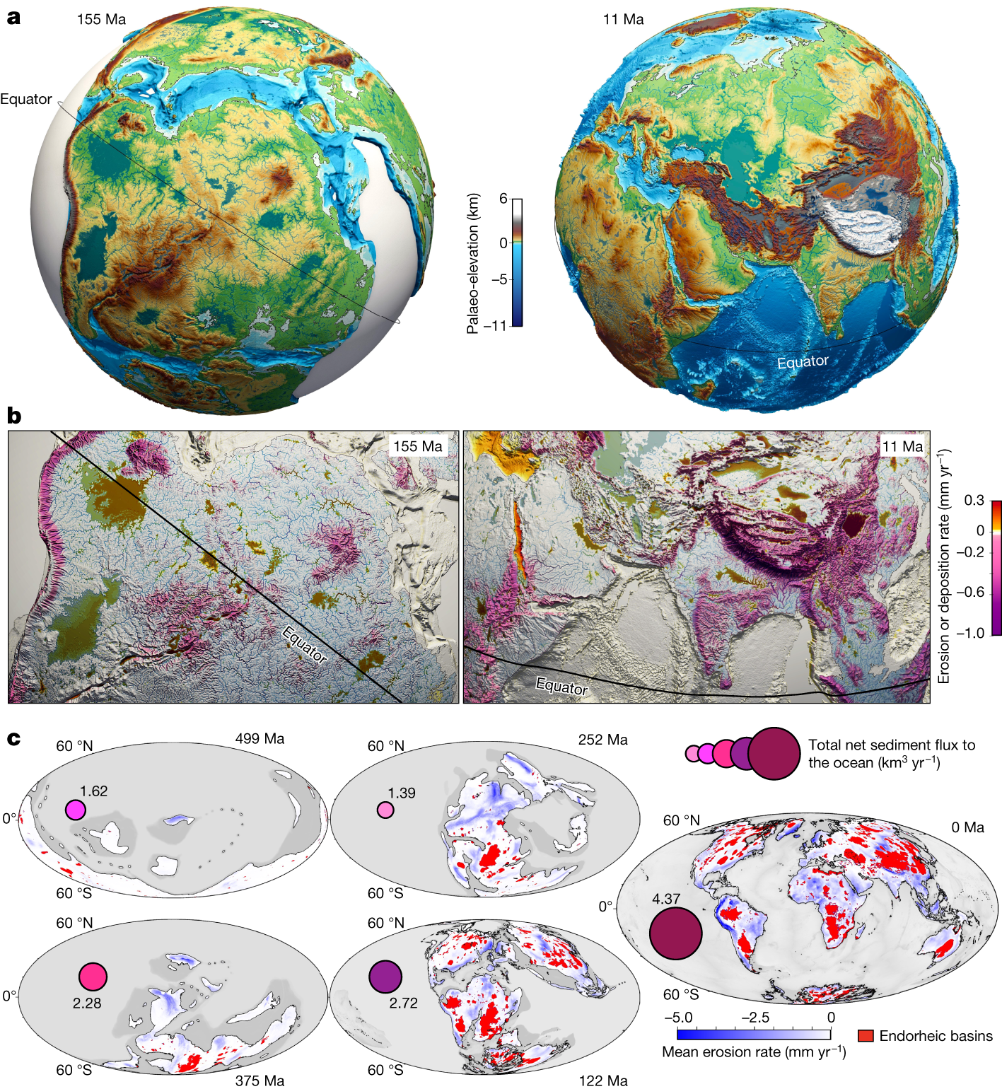 Landscape dynamics and the Phanerozoic diversification of the biosphere |  Nature