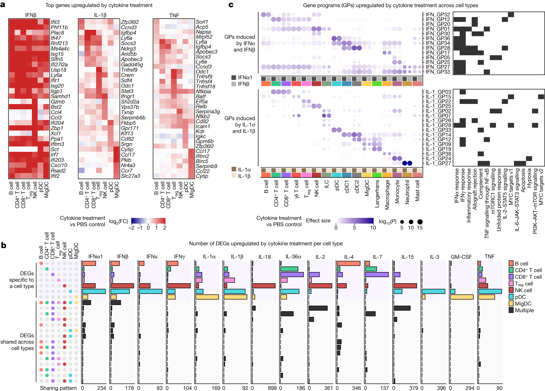Fig. 2: Cytokines induce cell-type-specific transcriptomic responses.