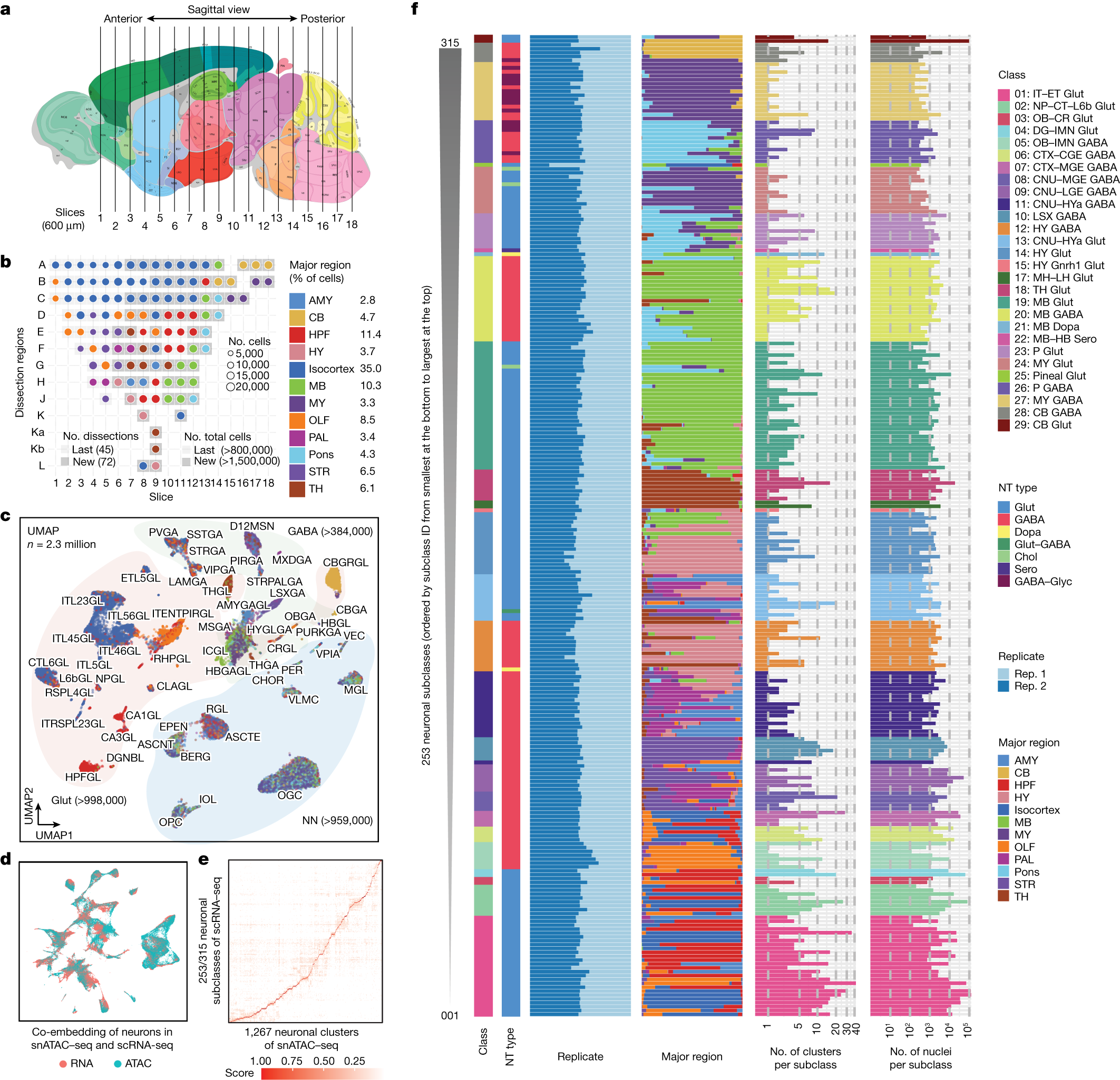 Fig. 1: Single-cell analysis of chromatin accessibility in the adult whole mouse brain.