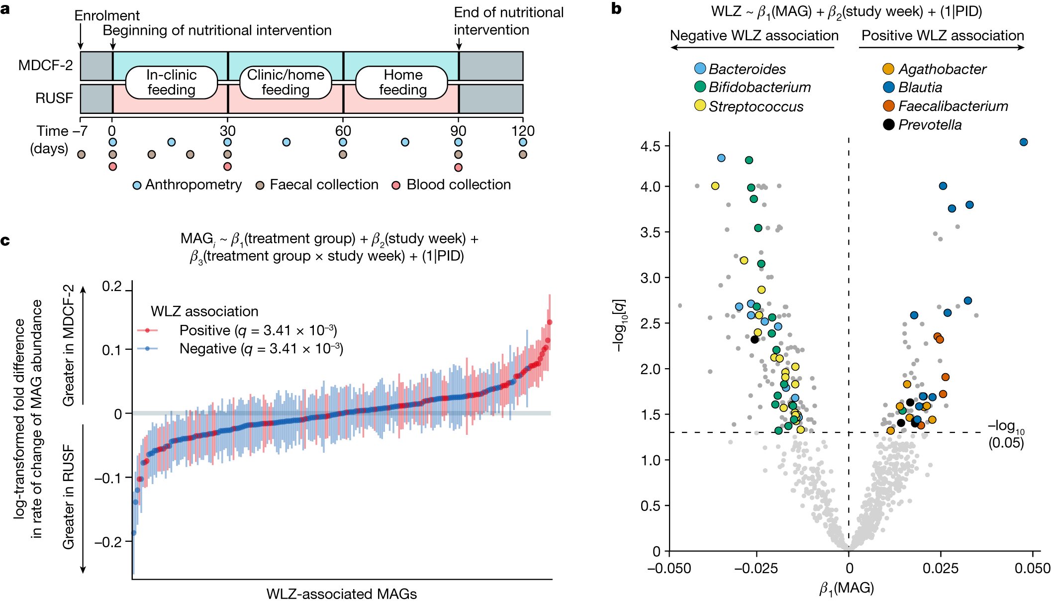 Bioactive glycans in a microbiome-directed food for children with