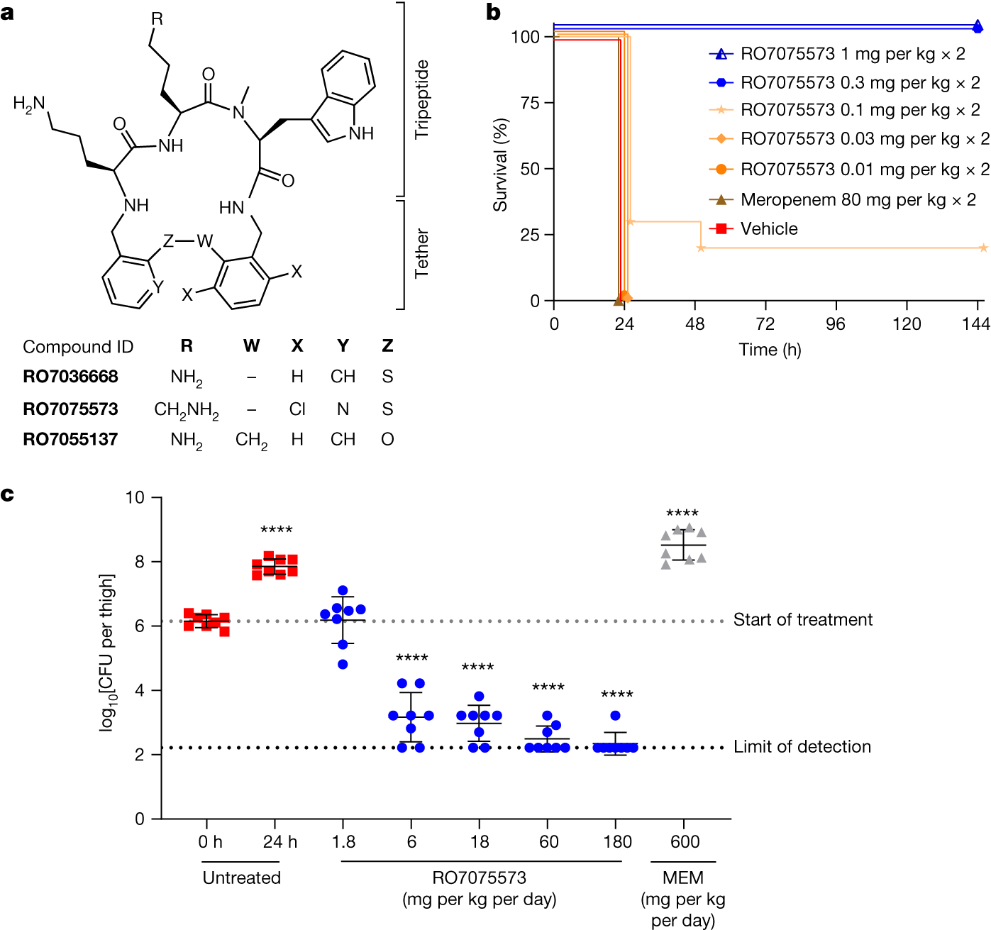 Fig. 1: First-generation lead RO7075573 protects mice from A. baumannii infections.