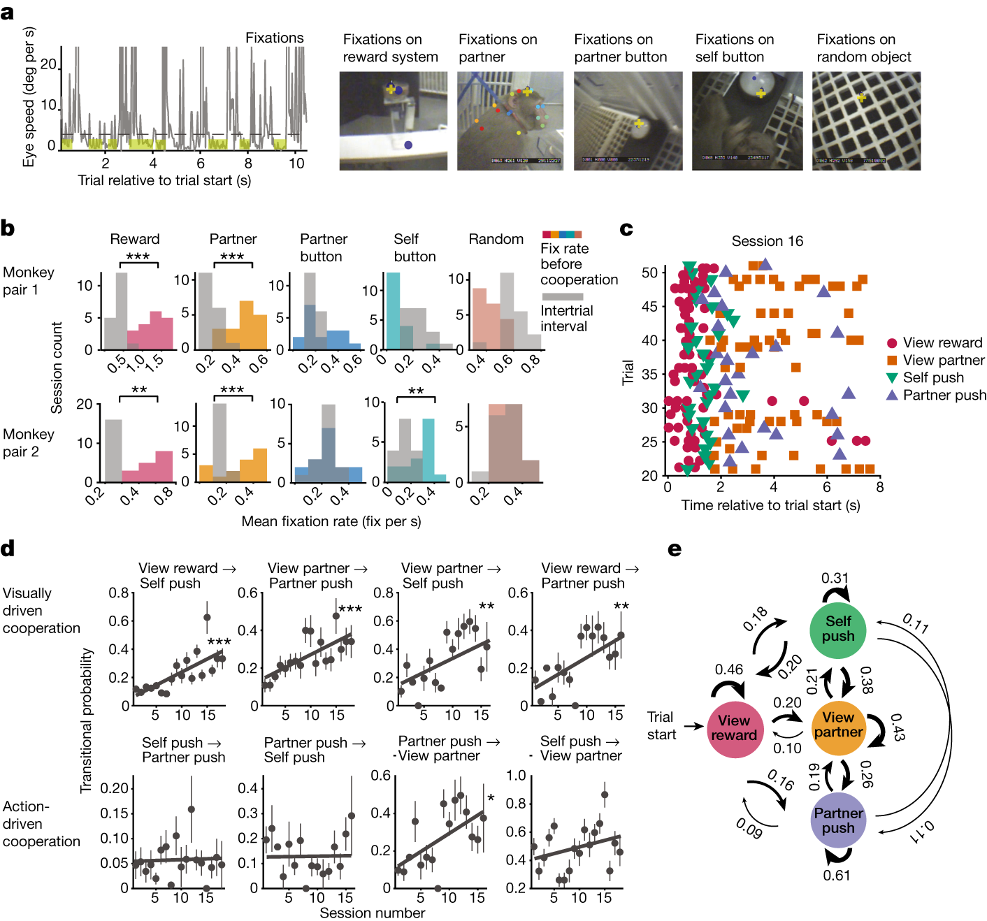 Fig. 2: Interactions between action and viewing while learning to cooperate.